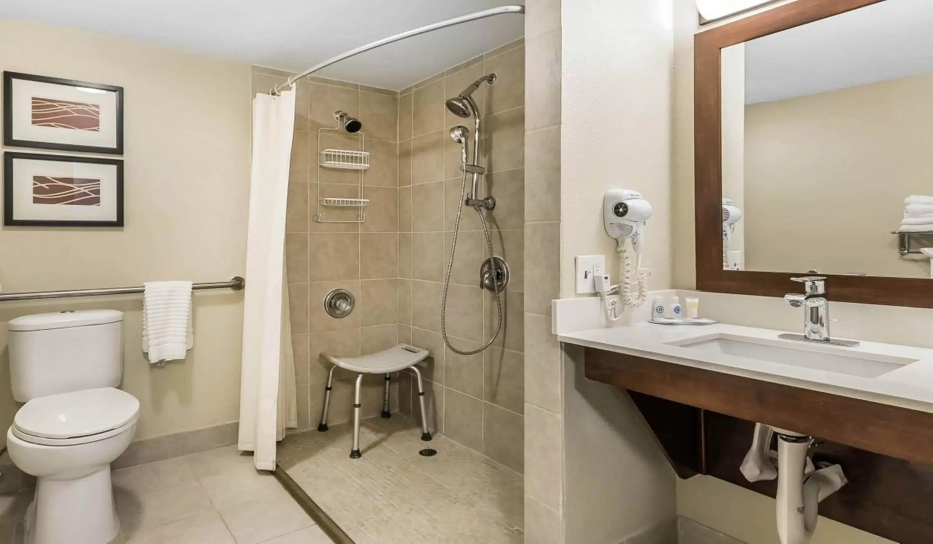 Toilet, Bathroom in Country Inn & Suites by Radisson, St. Petersburg - Clearwater, FL