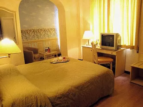 Double Room in Hotel La Capannina