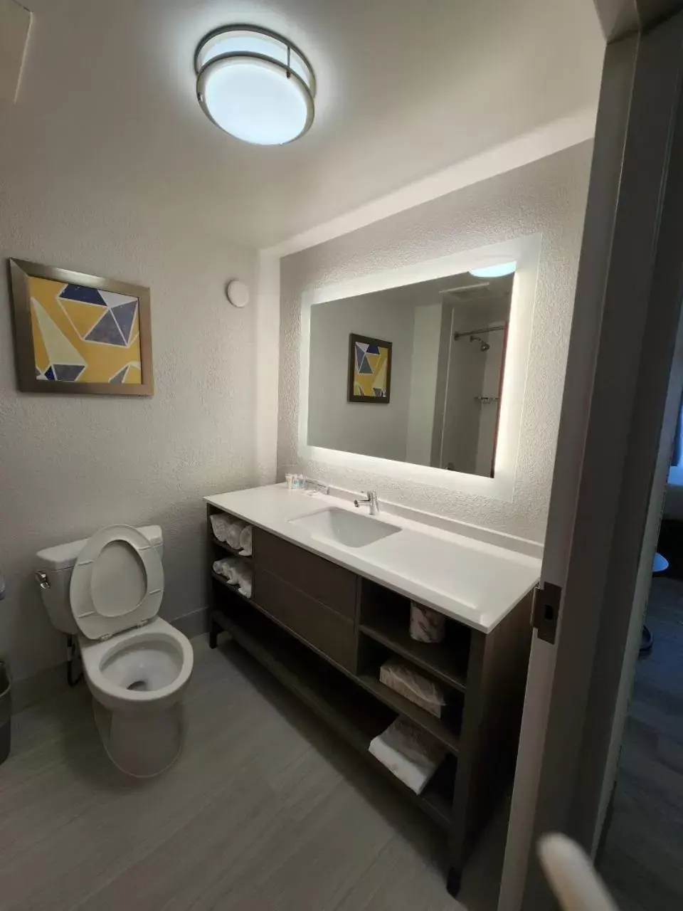 Toilet, Bathroom in Comfort Suites Columbia Northeast - Fort Jackson