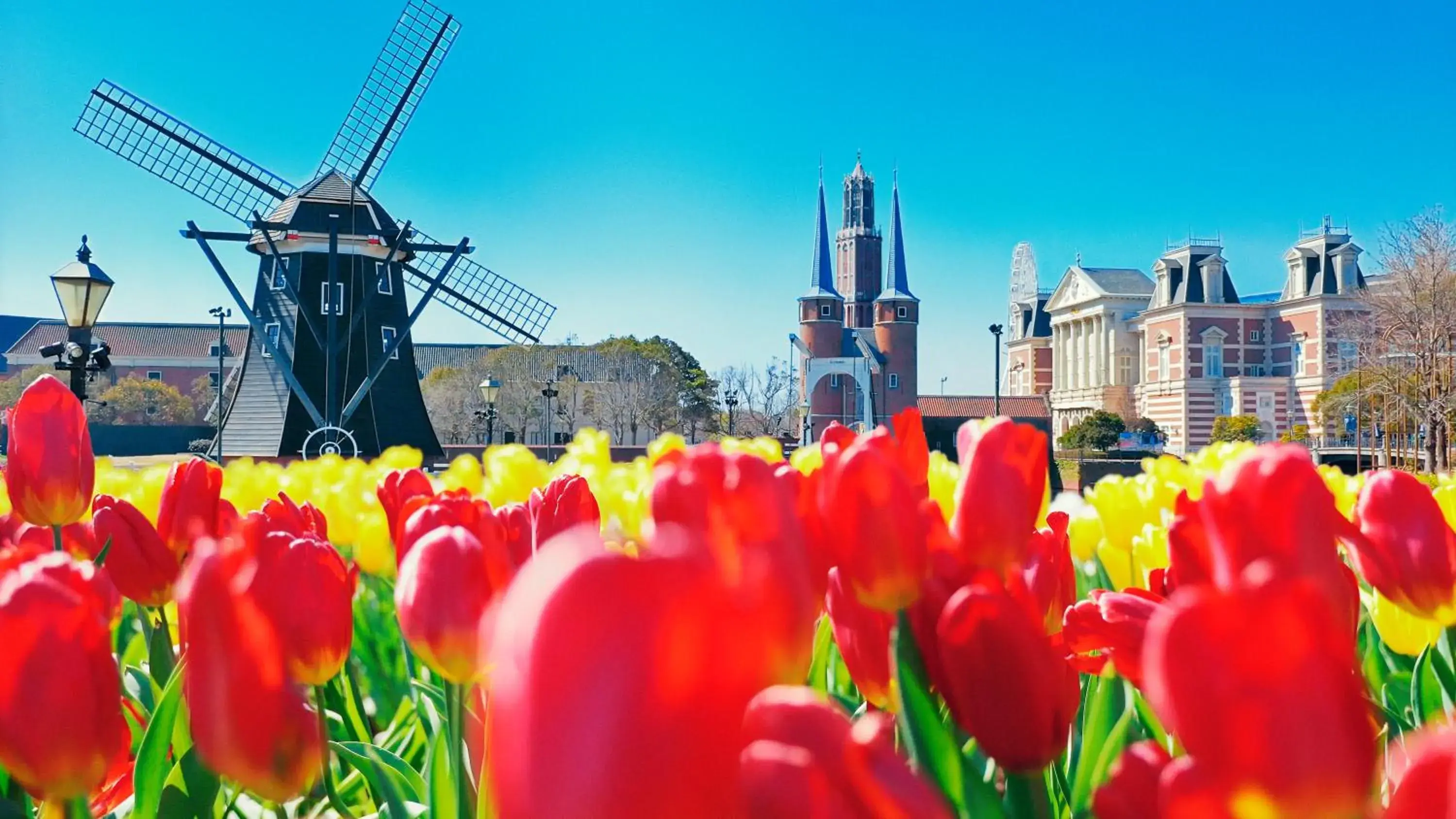 Day in Huis Ten Bosch Hotel Amsterdam