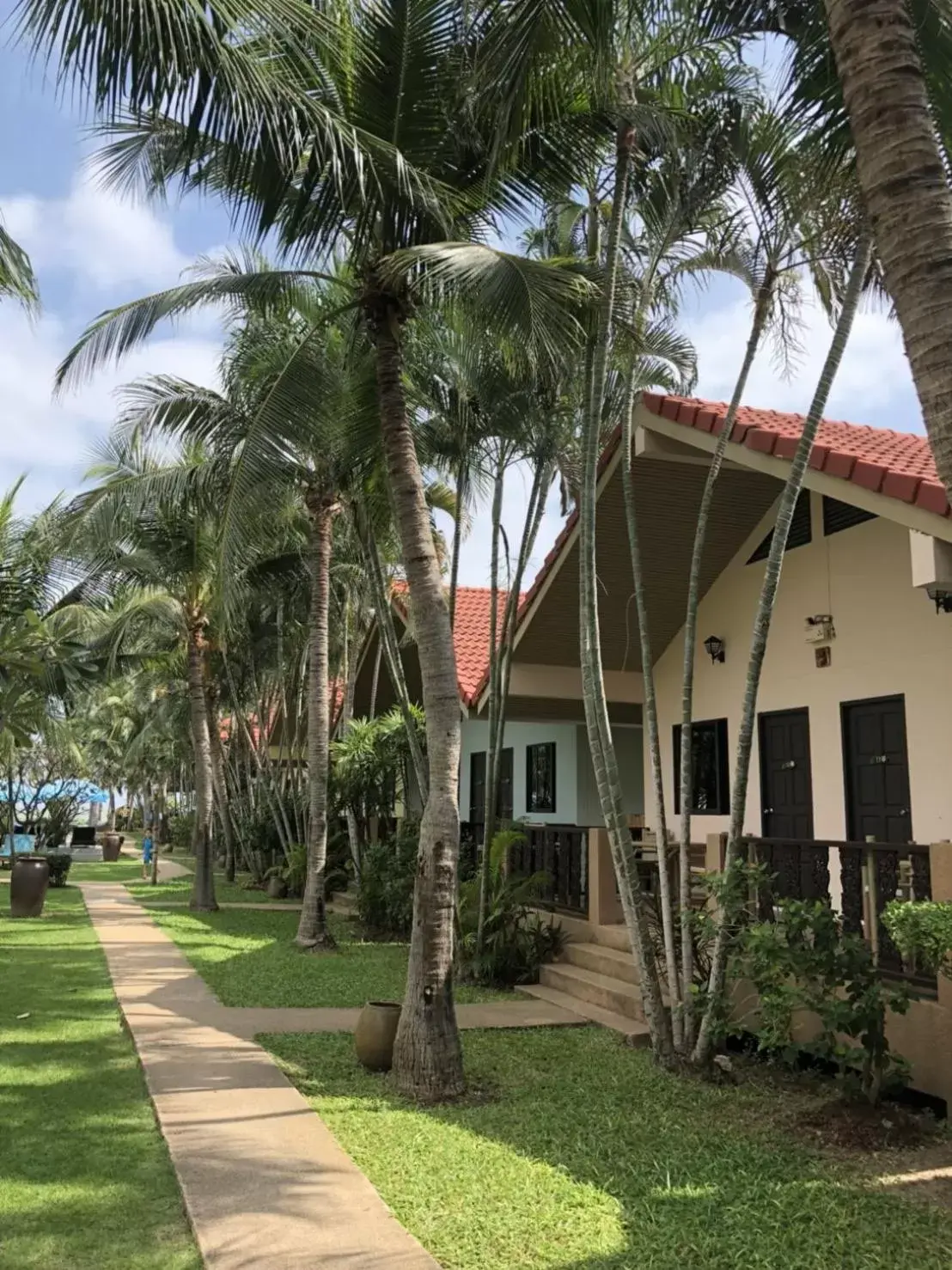 Natural landscape, Property Building in Dolphin Bay Beach Resort