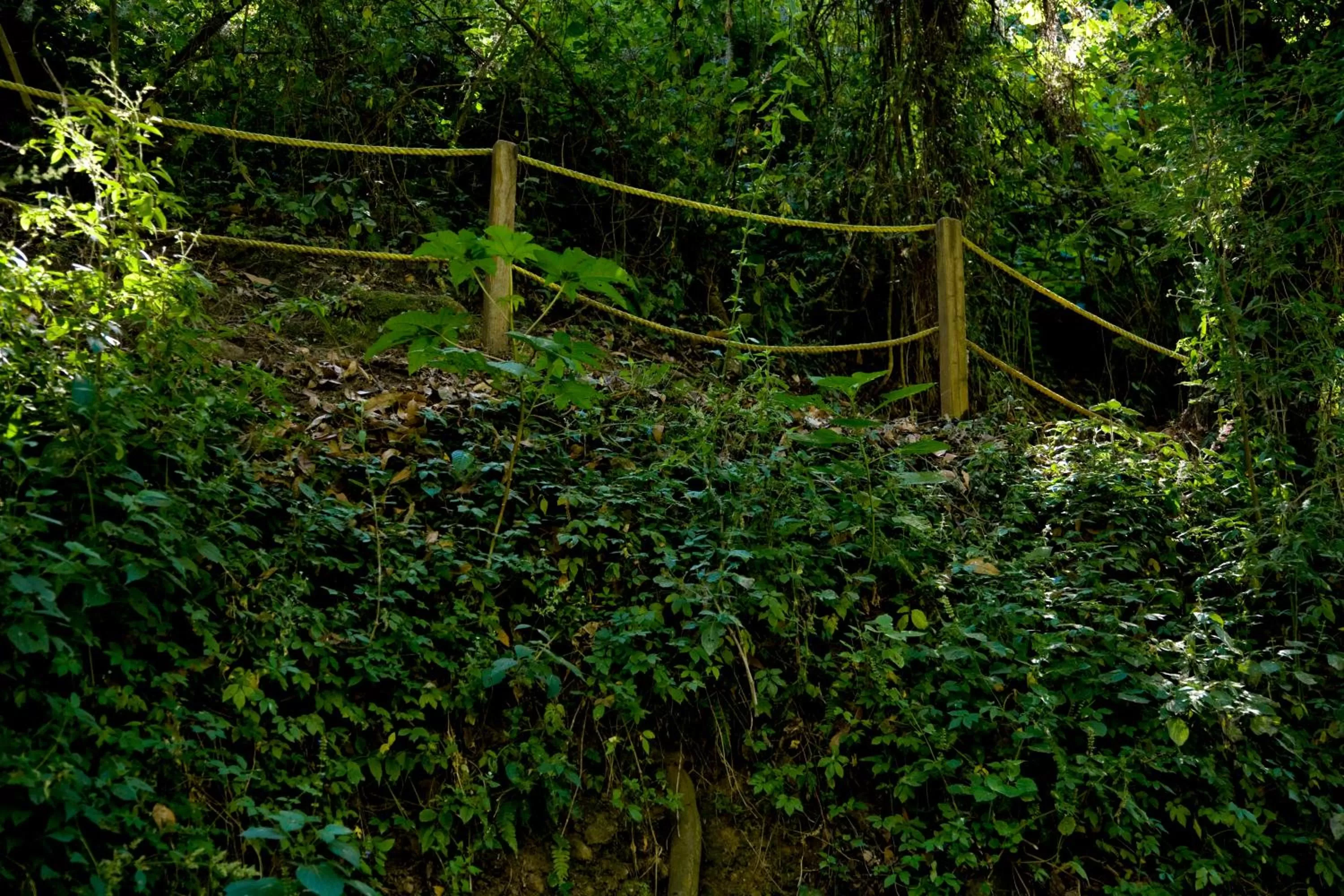 Other in Hotel Rancho San Cayetano