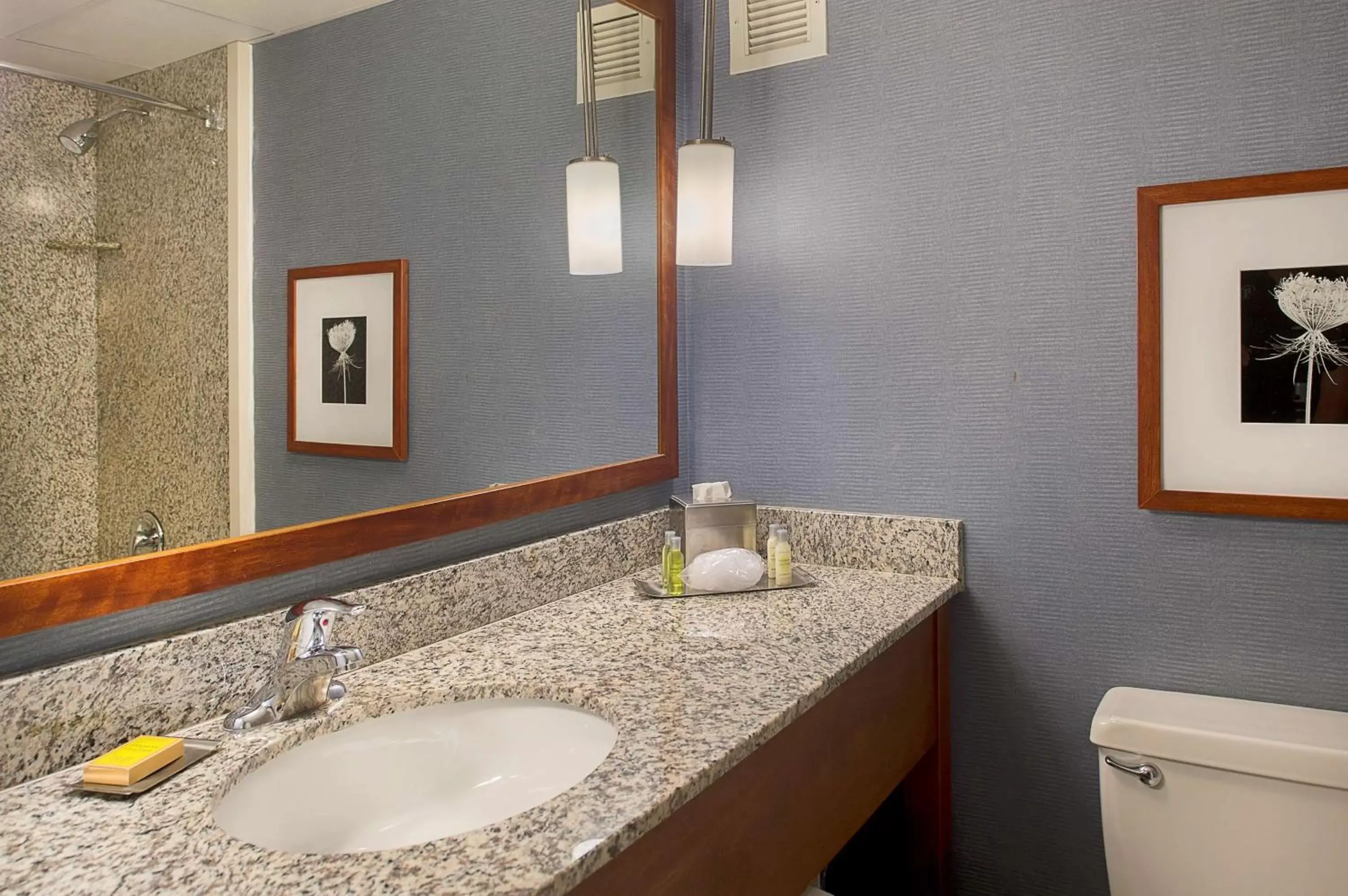 Bathroom in DoubleTree by Hilton St. Louis at Westport