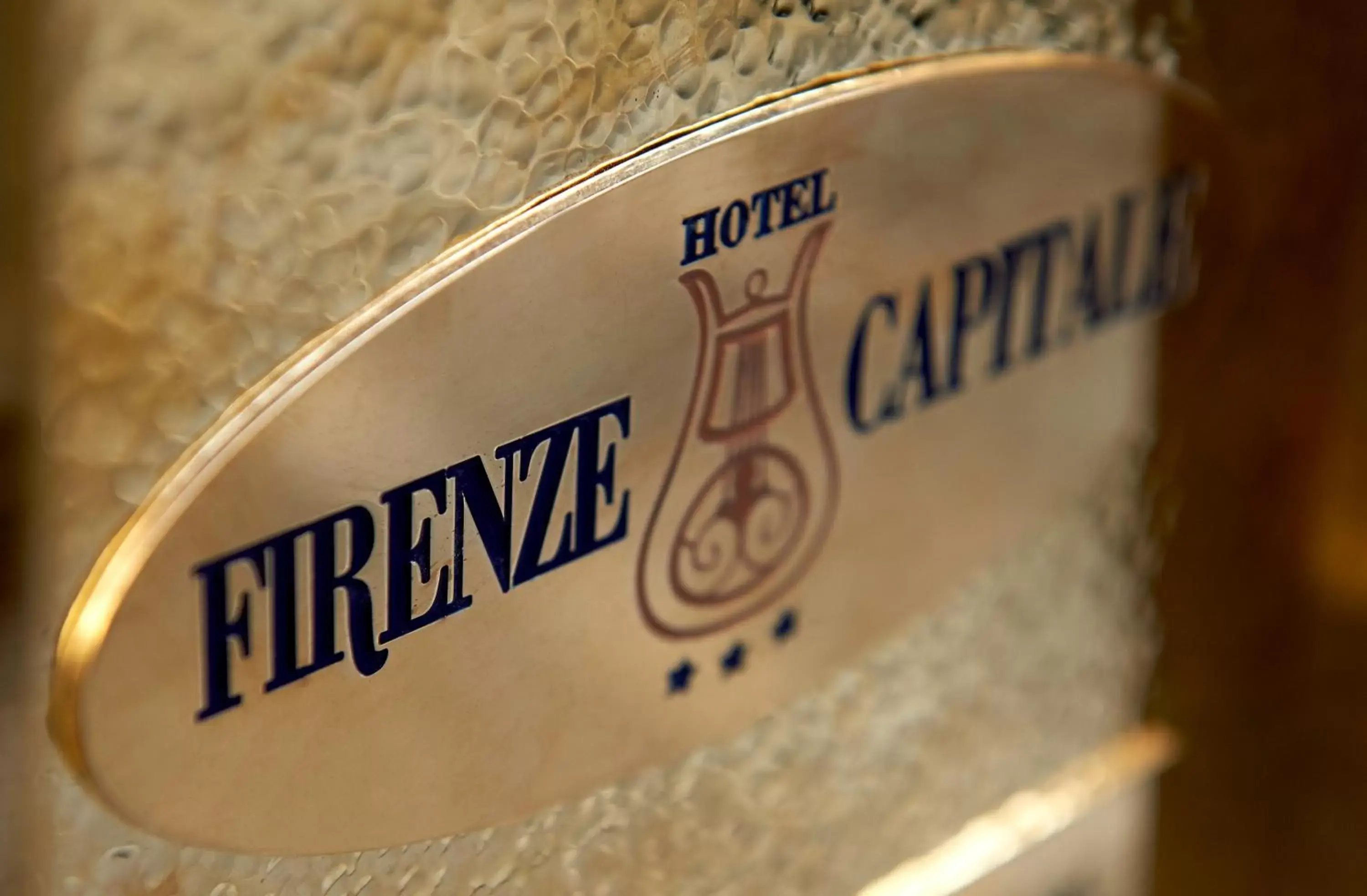 Decorative detail, Property Logo/Sign in Hotel Firenze Capitale