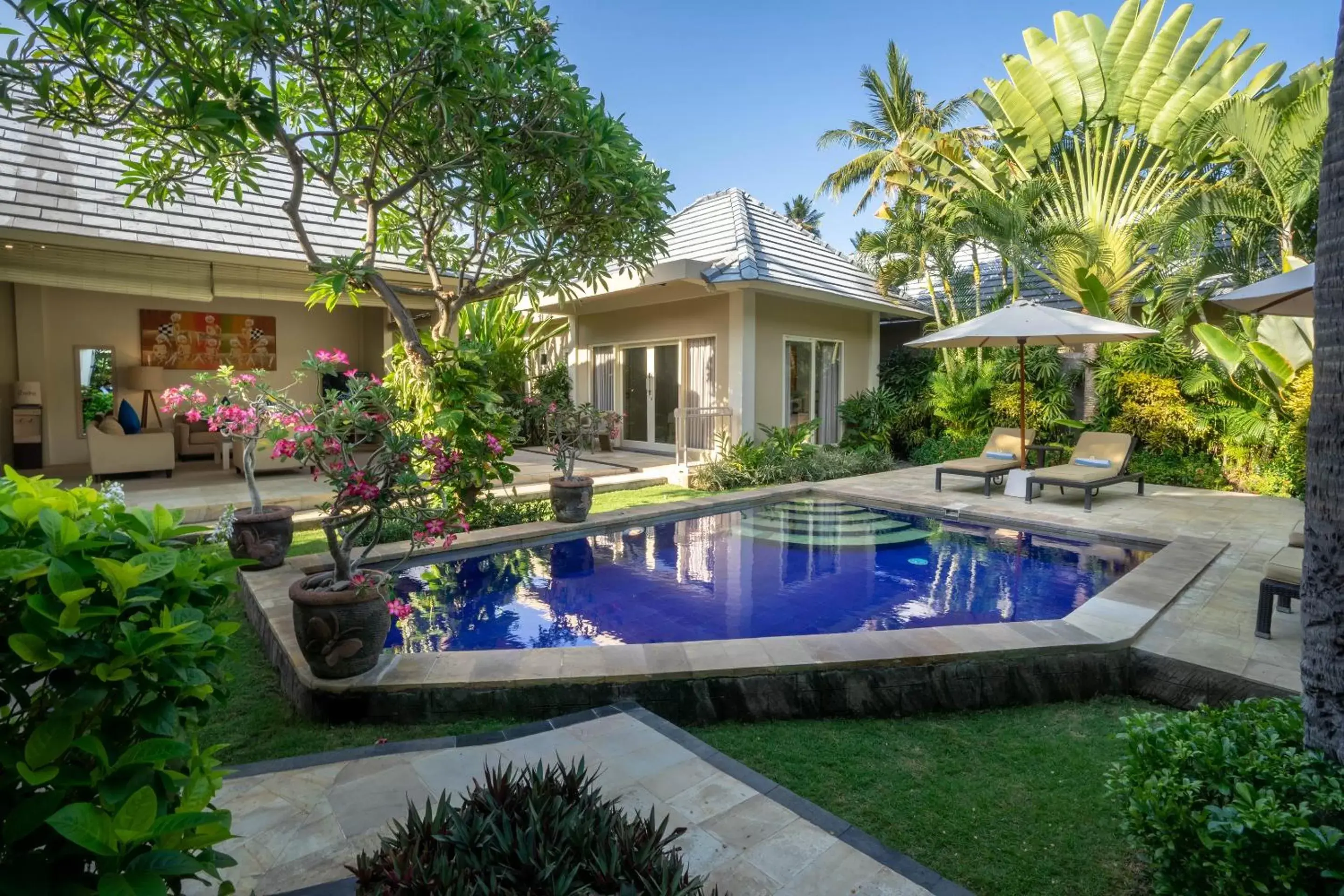 Garden view, Swimming Pool in The Lovina