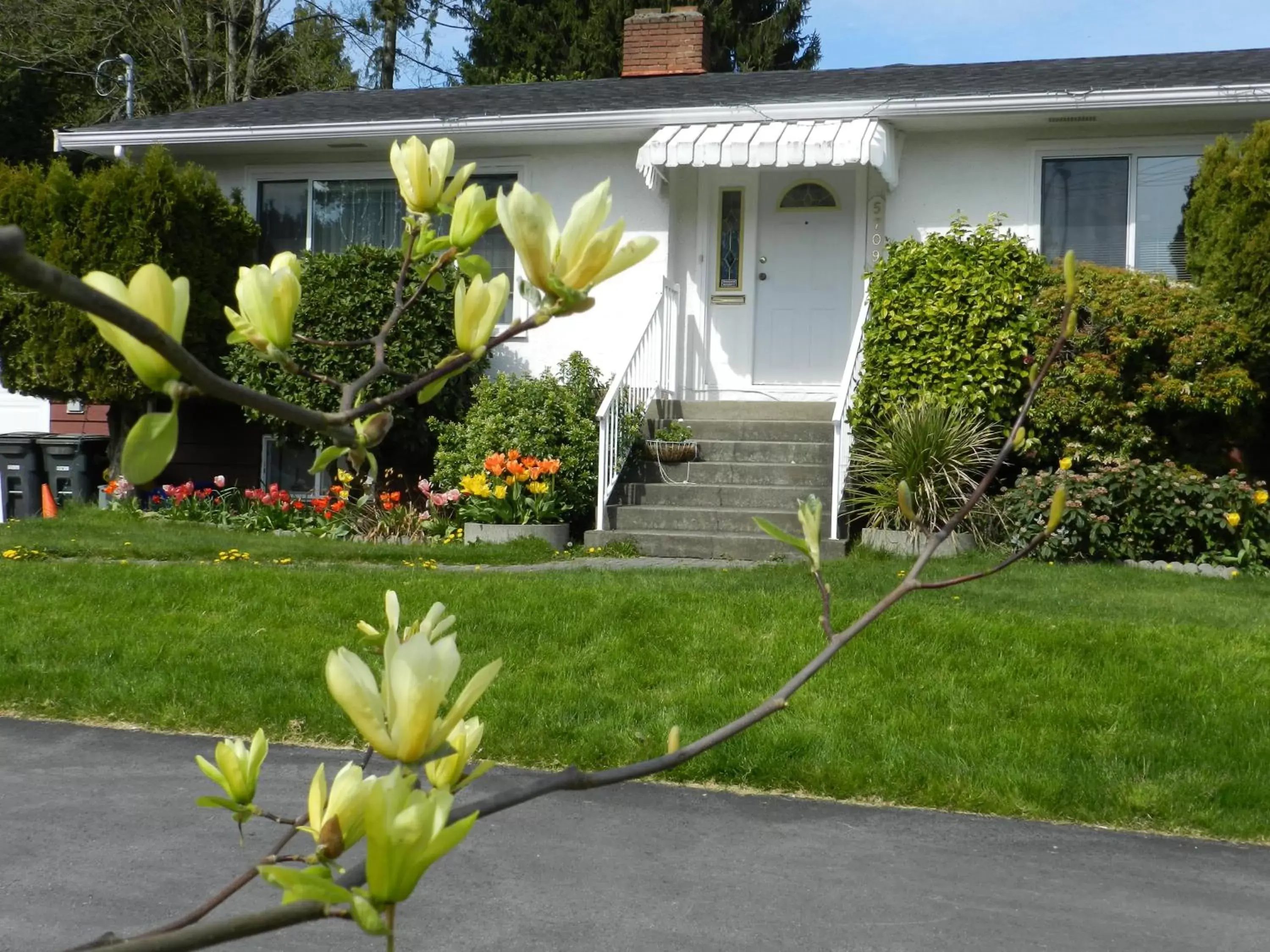 Street view, Garden in Serenity