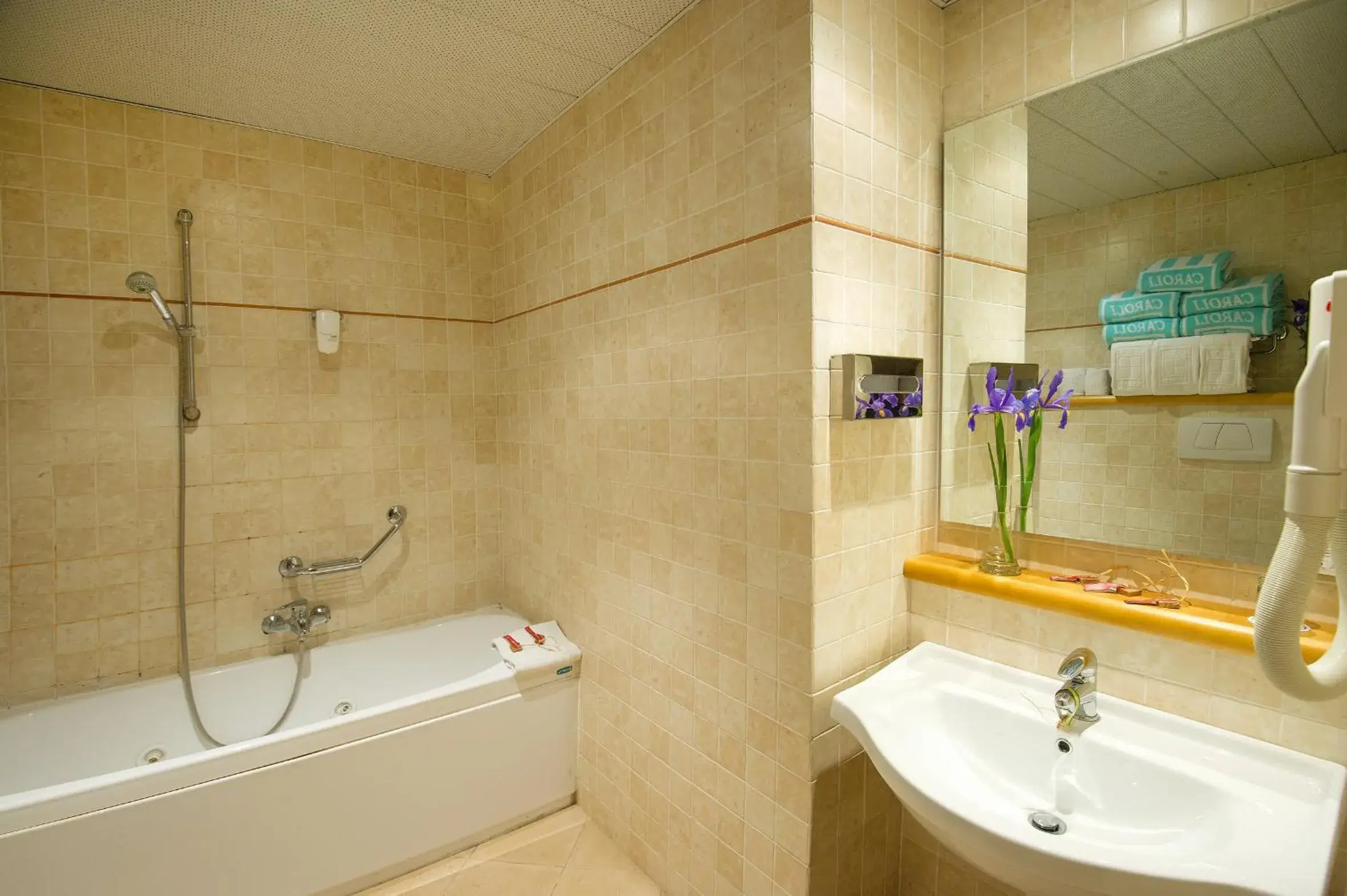 Bathroom in Hotel Terminal - Caroli Hotels