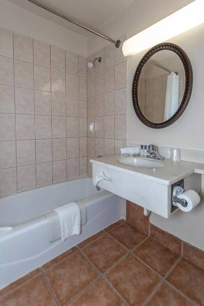 Bathroom in Americas Best Value Inn Ashtabula/Austinburg
