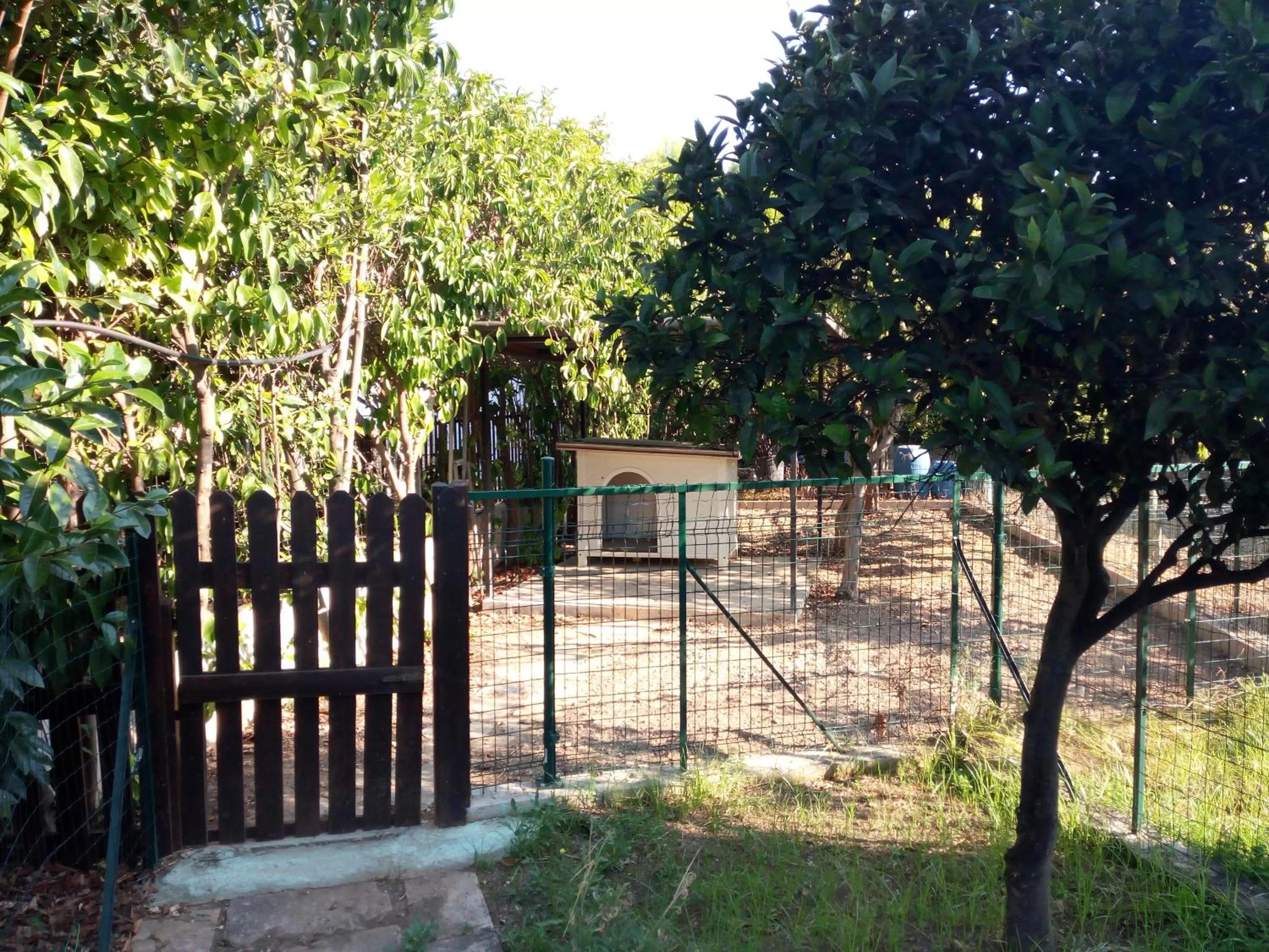 Pets, Property Building in B&B Leonida