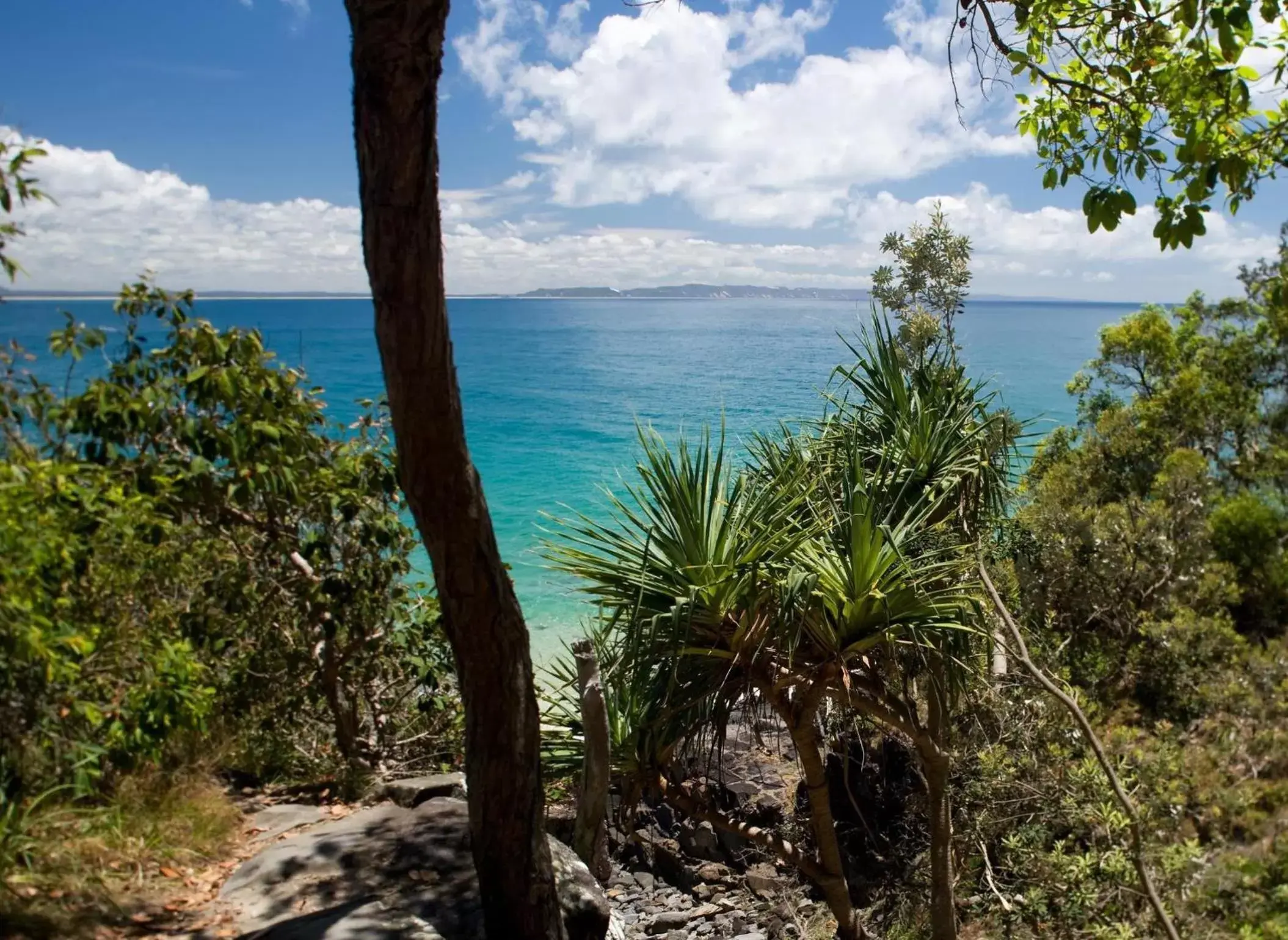 Beach, Sea View in Sofitel Noosa Pacific Resort