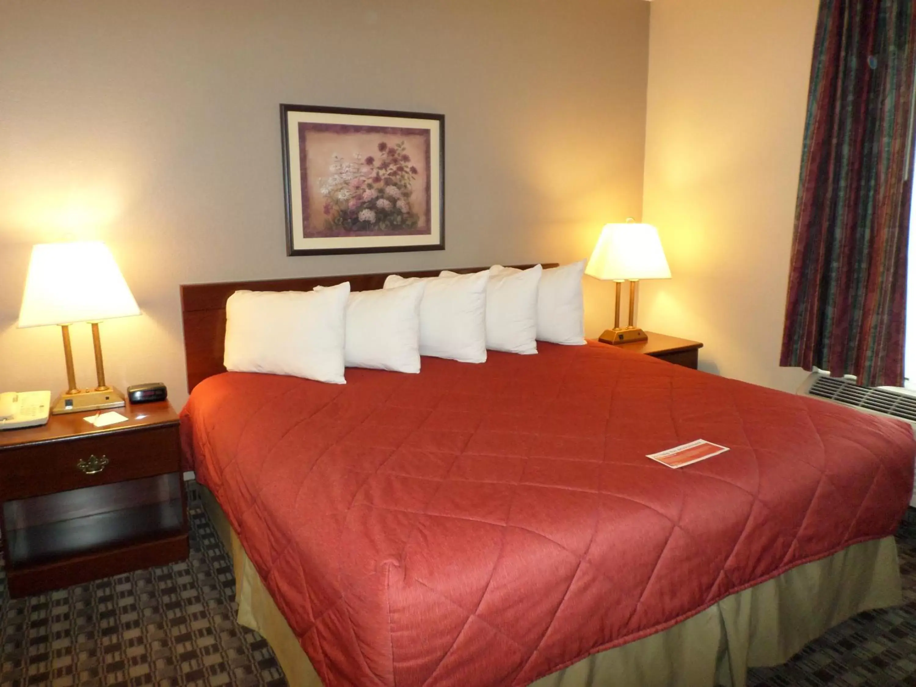 Deluxe King Suite in Wingate by Wyndham Canton-Hall of Fame