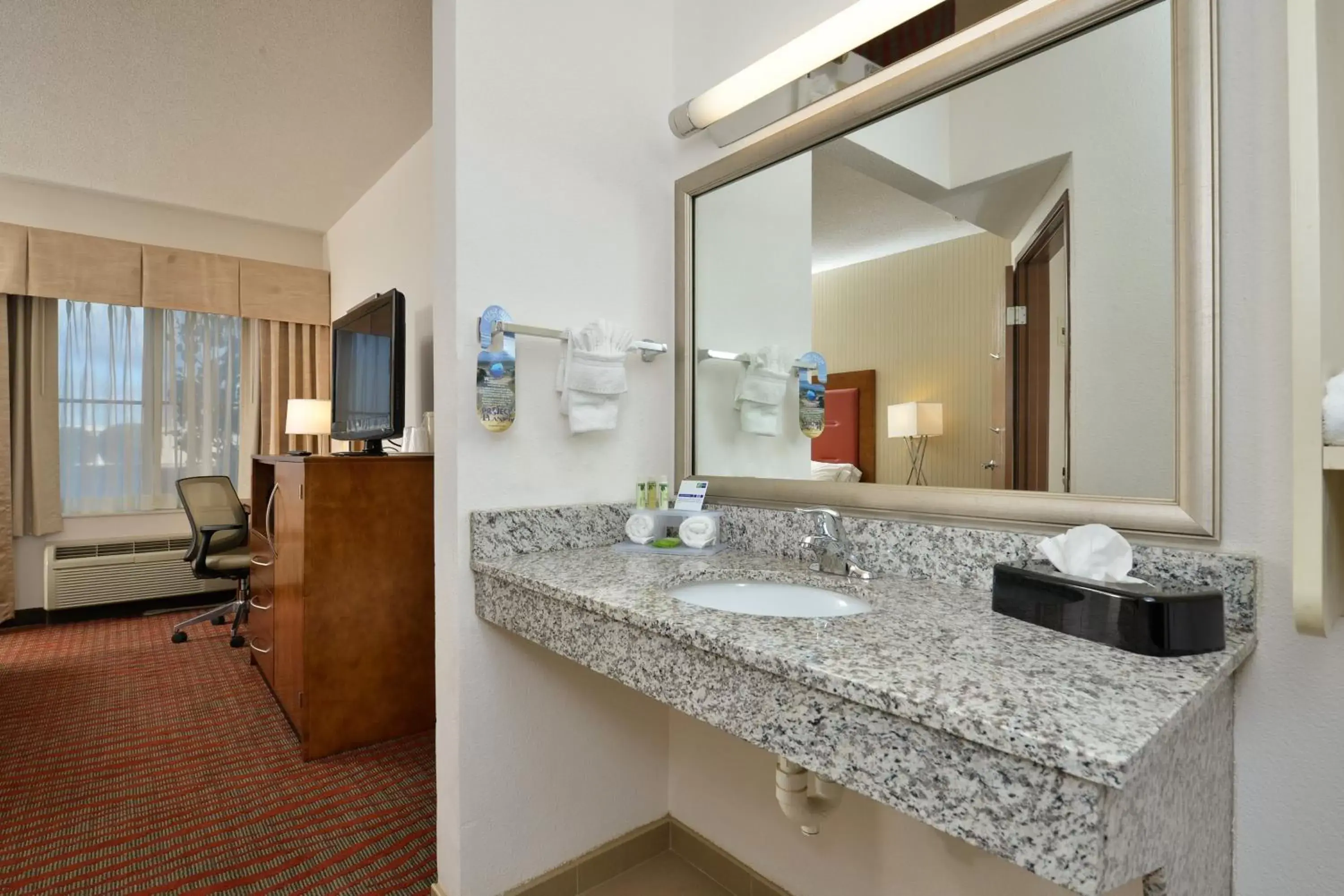 Photo of the whole room, Bathroom in Holiday Inn Express Boston/Milford Hotel, an IHG Hotel