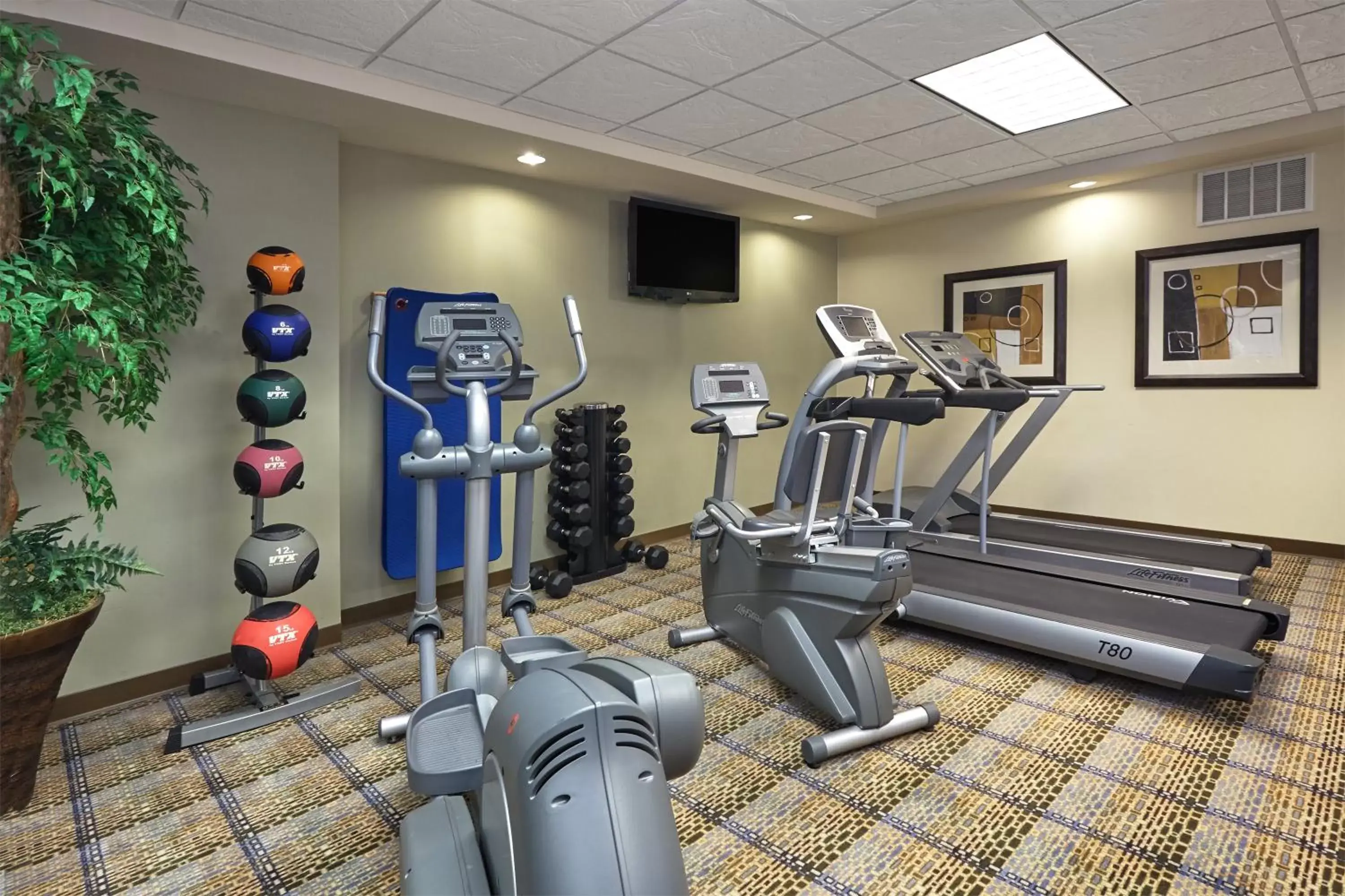 Fitness centre/facilities, Fitness Center/Facilities in Holiday Inn Express & Suites Madison-Verona, an IHG Hotel