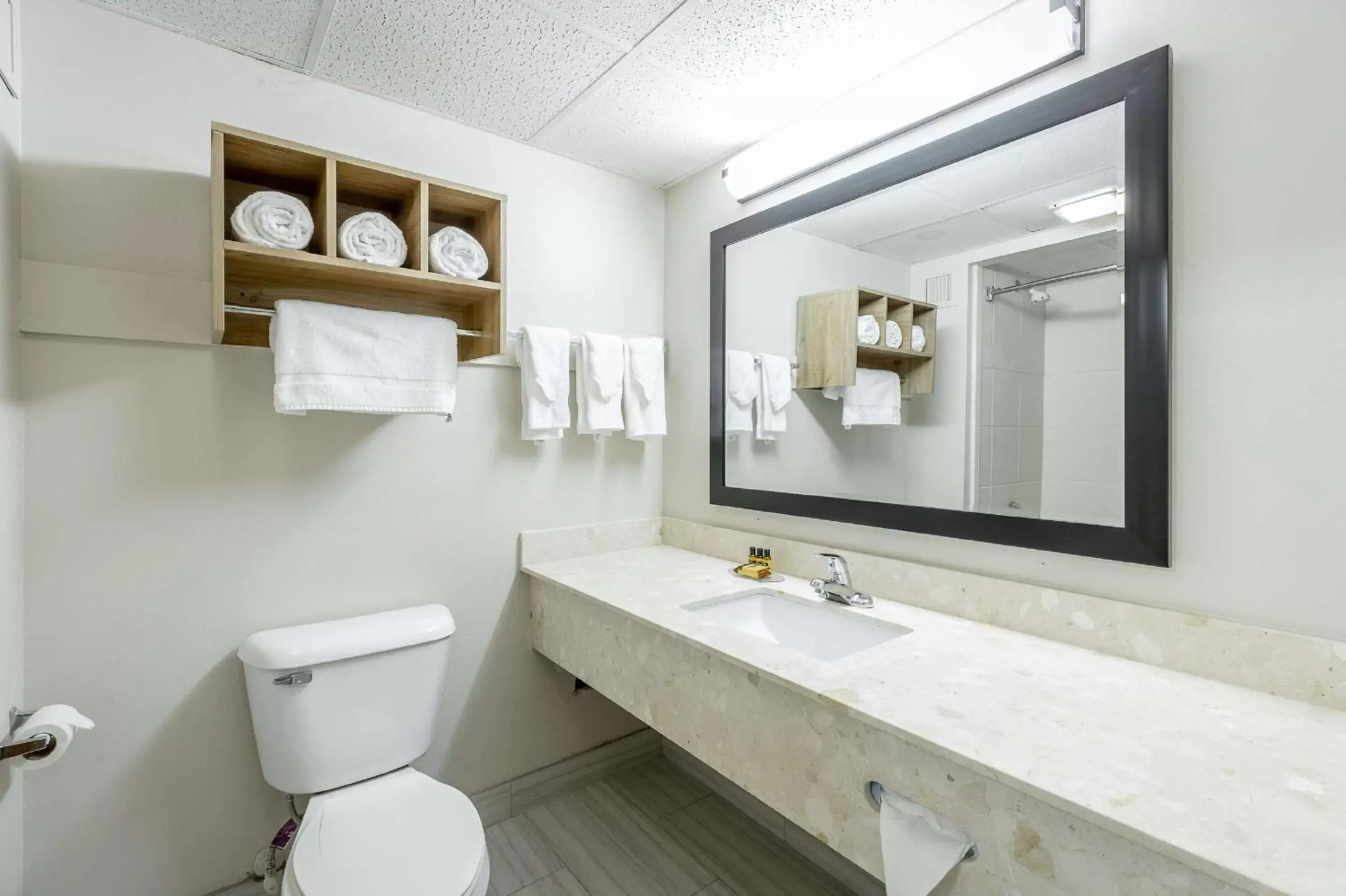 Bathroom in Best Western Plus Arbour Inn and Suites