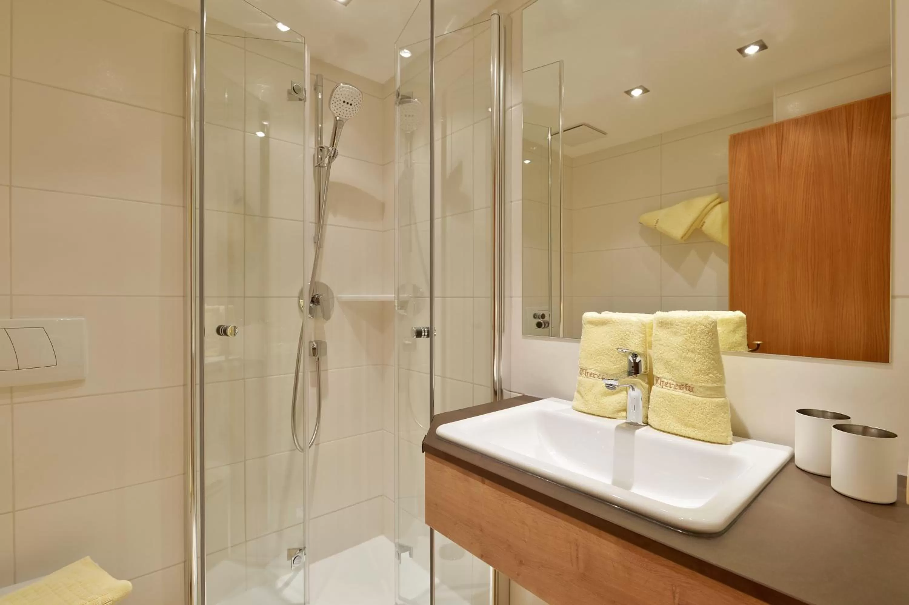 Bathroom in Hotel Theresia Garni