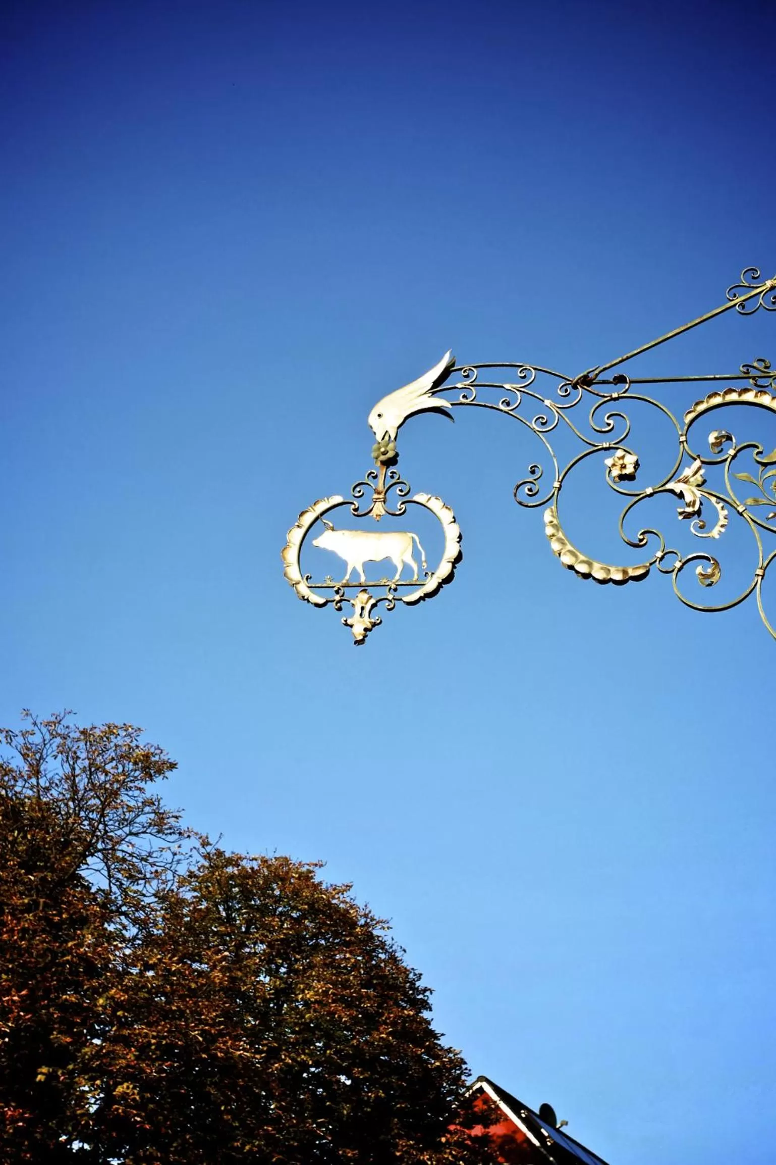 Decorative detail, Property Logo/Sign in OX Hotel