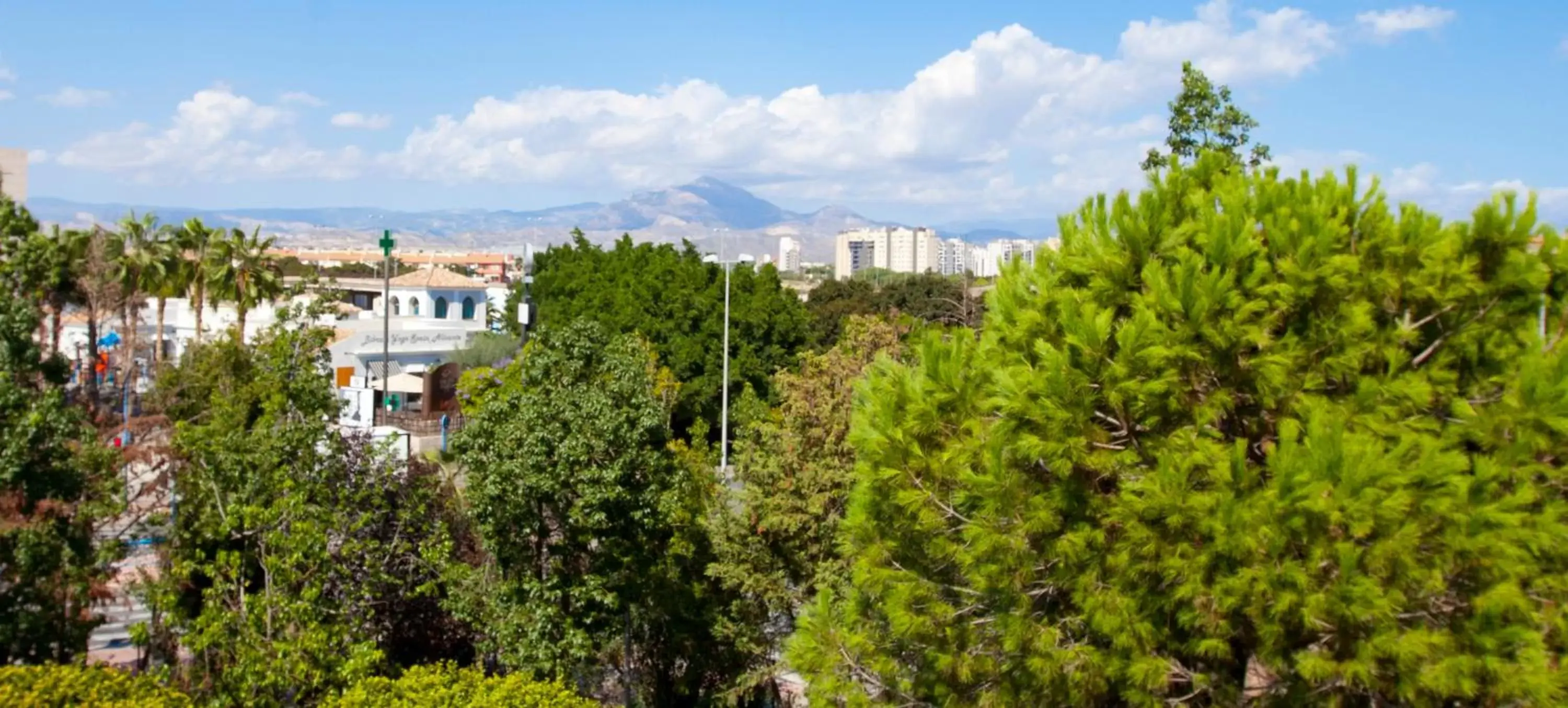 Neighbourhood in Hotel Alicante Golf