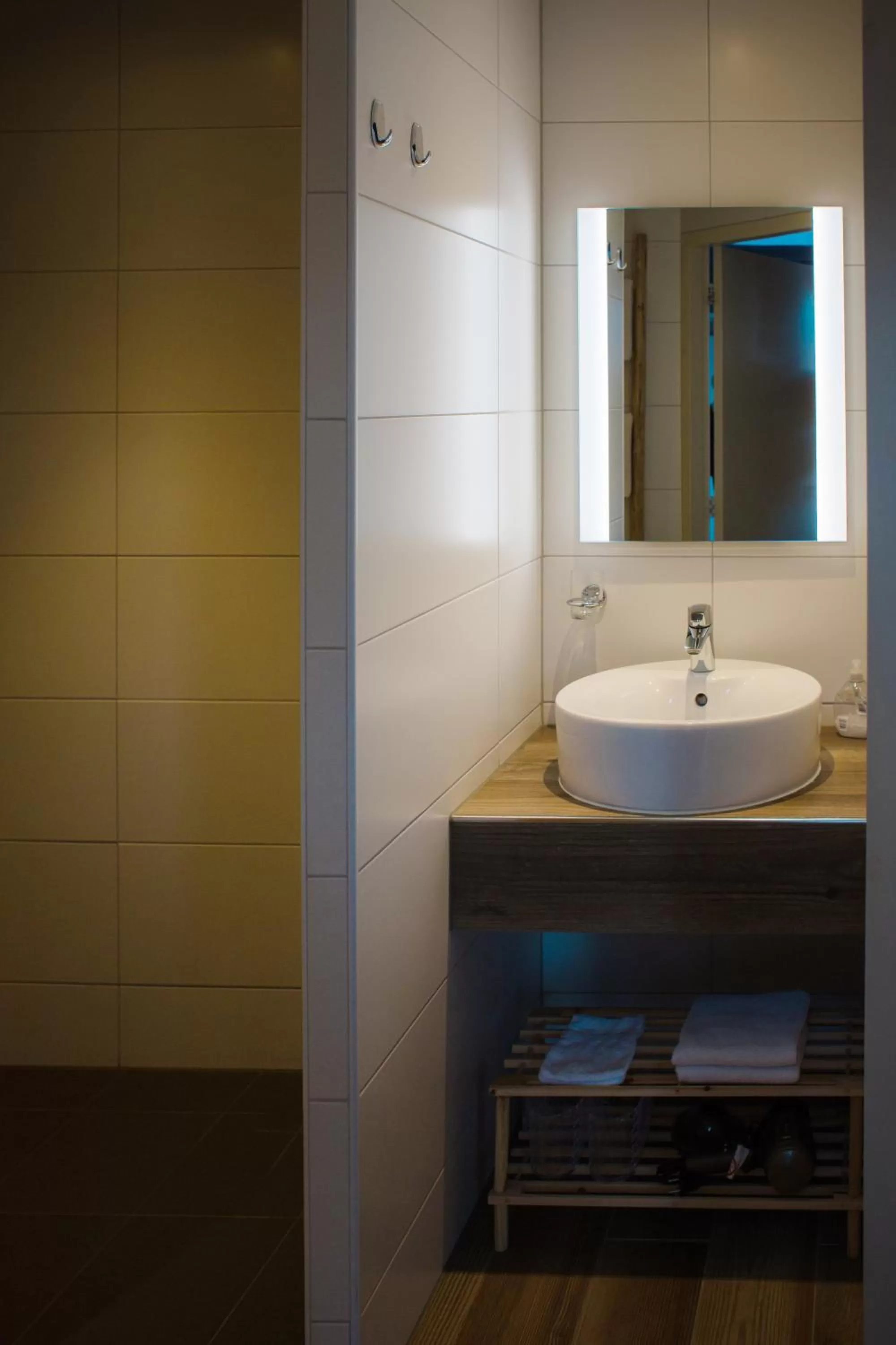 Shower, Bathroom in B&B de Ster van Dwingeloo