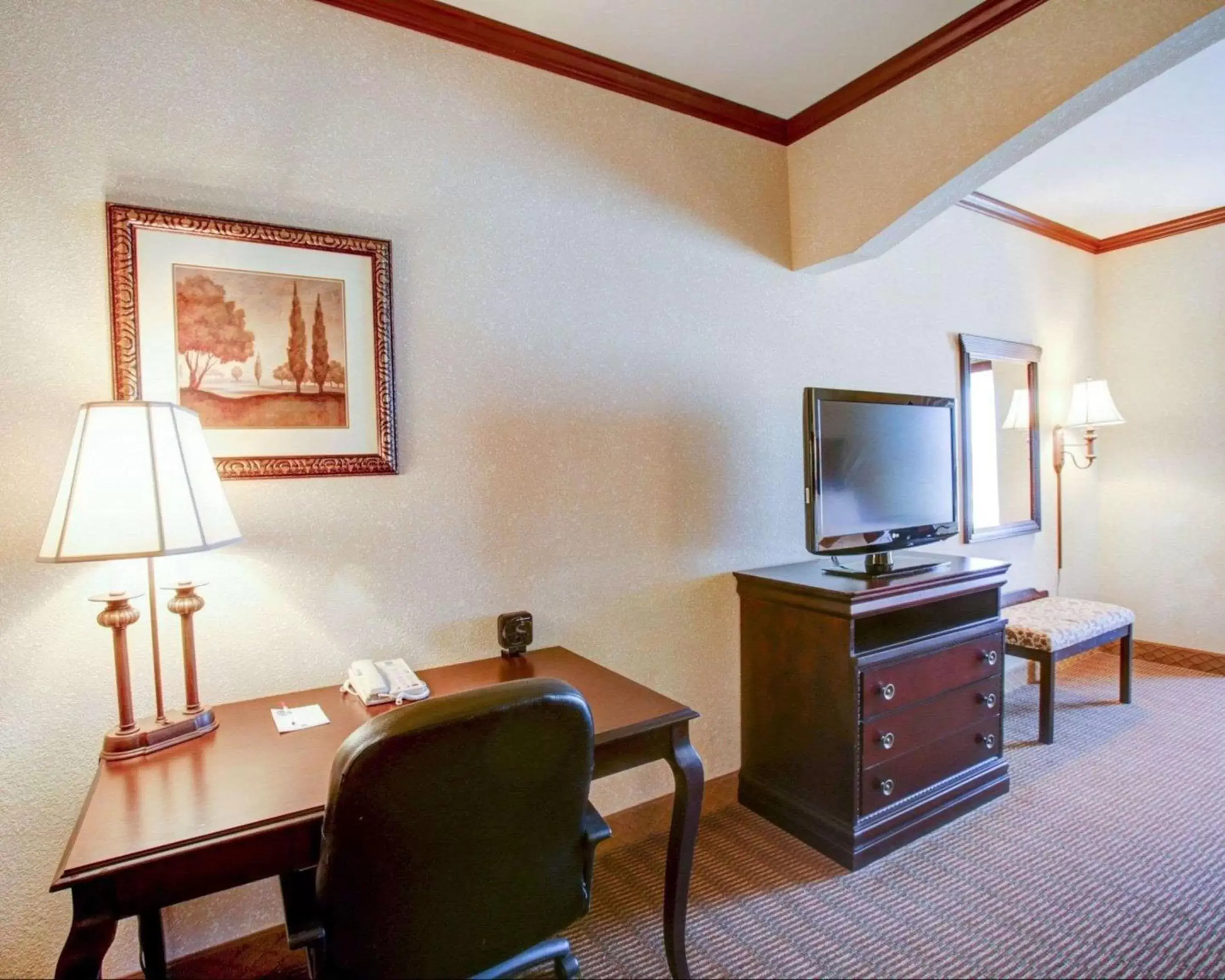 Photo of the whole room, TV/Entertainment Center in Comfort Suites University Drive