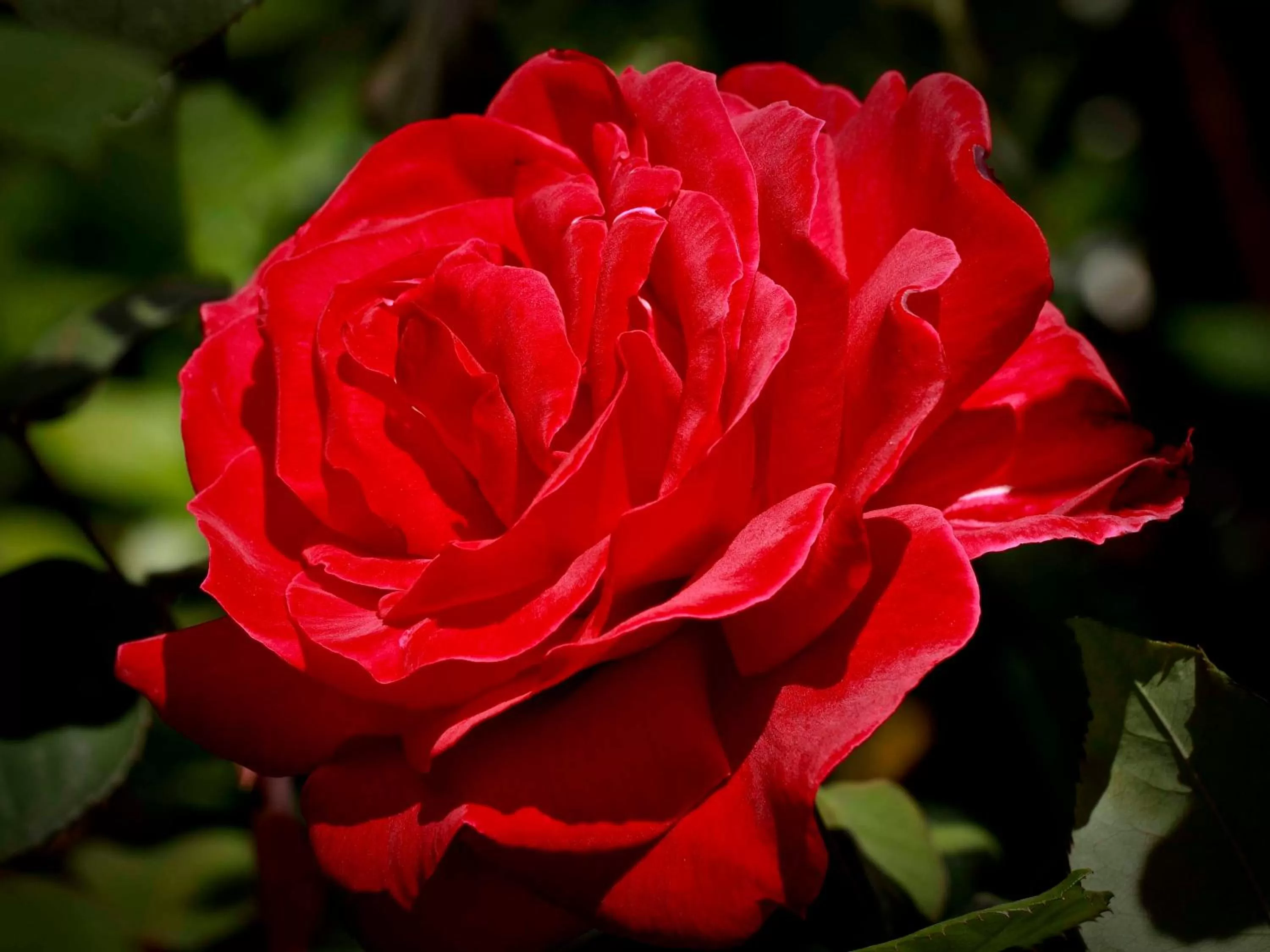 View (from property/room) in Montagu Vines Guesthouse