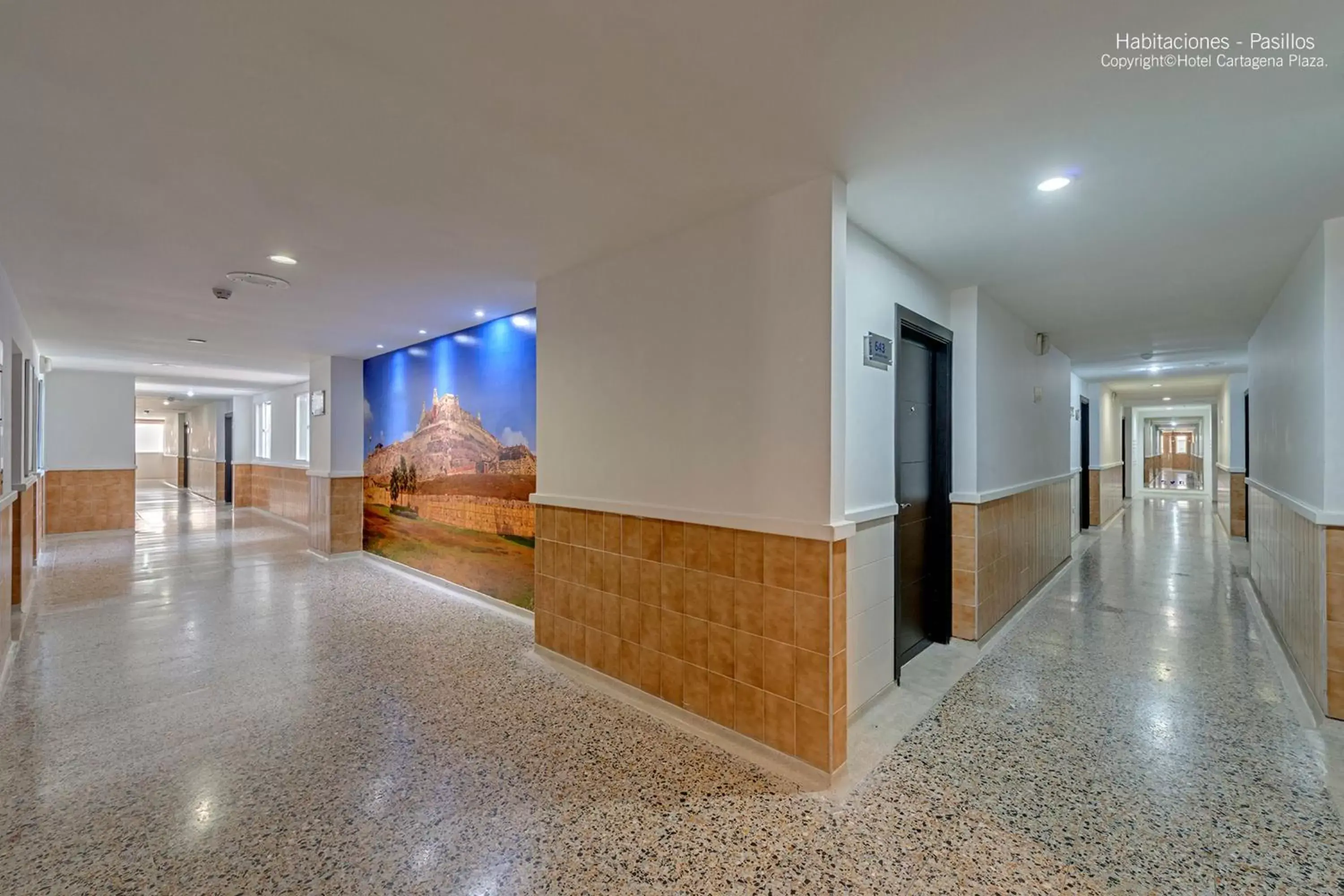 Decorative detail, Lobby/Reception in Hotel Cartagena Plaza