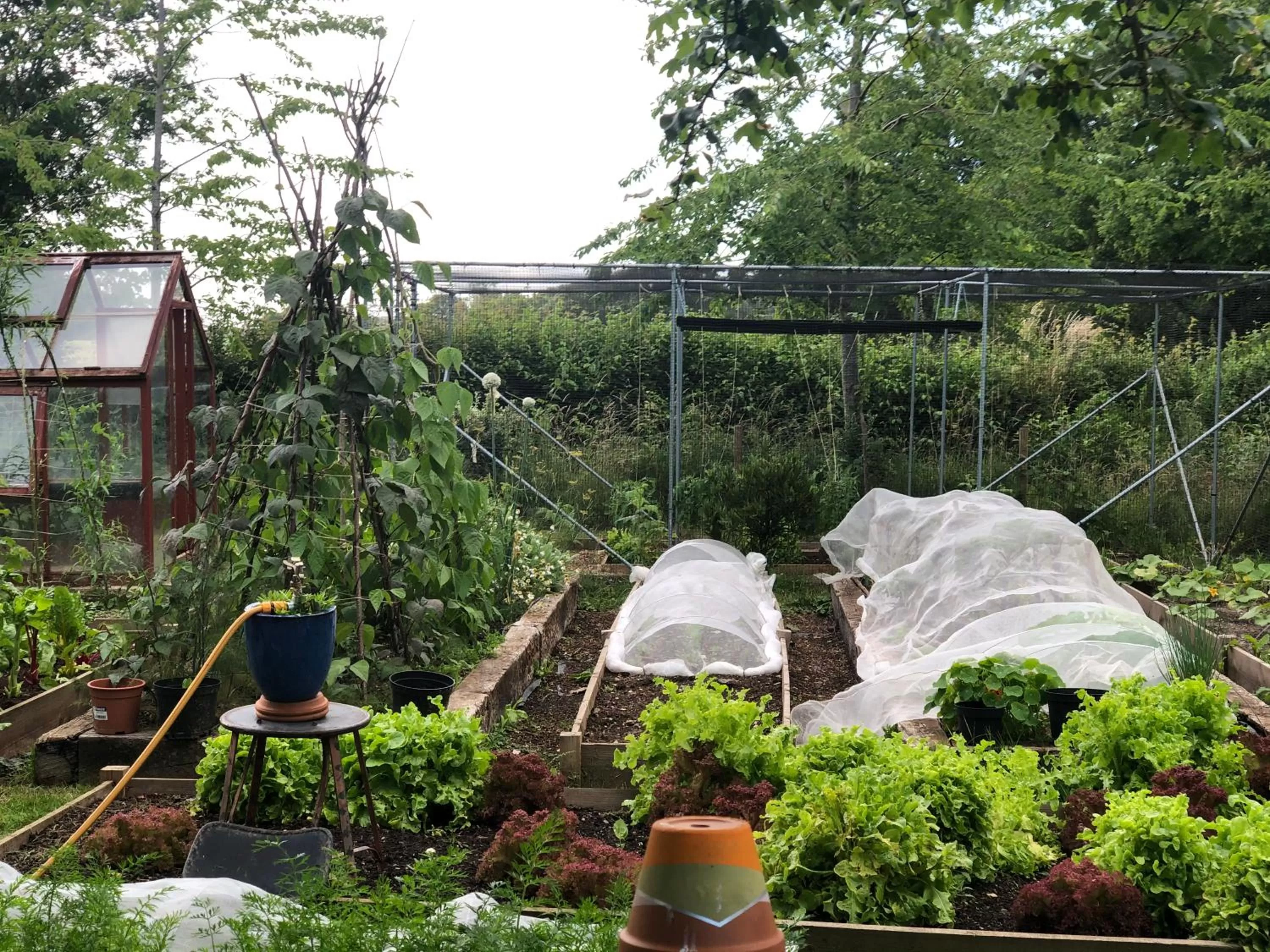 Garden in Pear Tree Inn Whitley