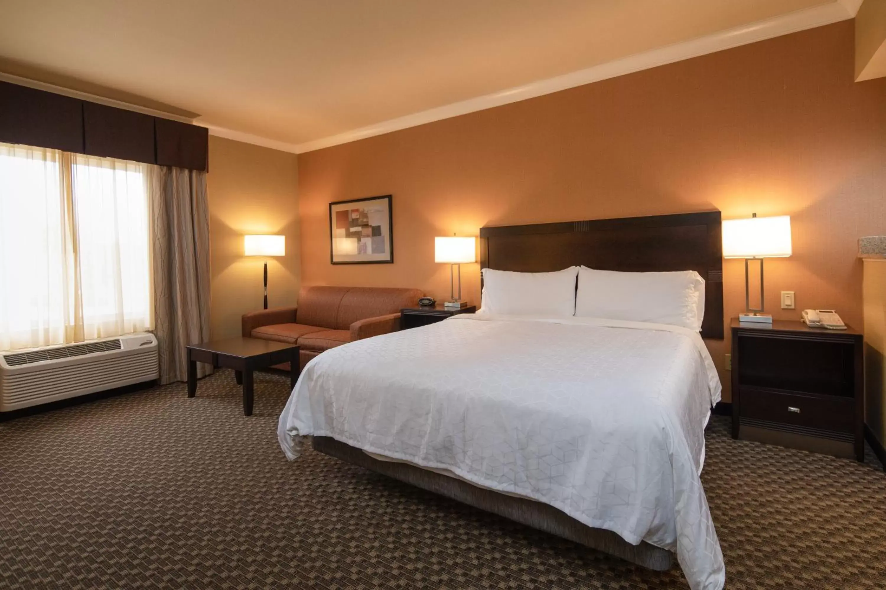 Photo of the whole room, Bed in Holiday Inn Express Castro Valley, an IHG Hotel