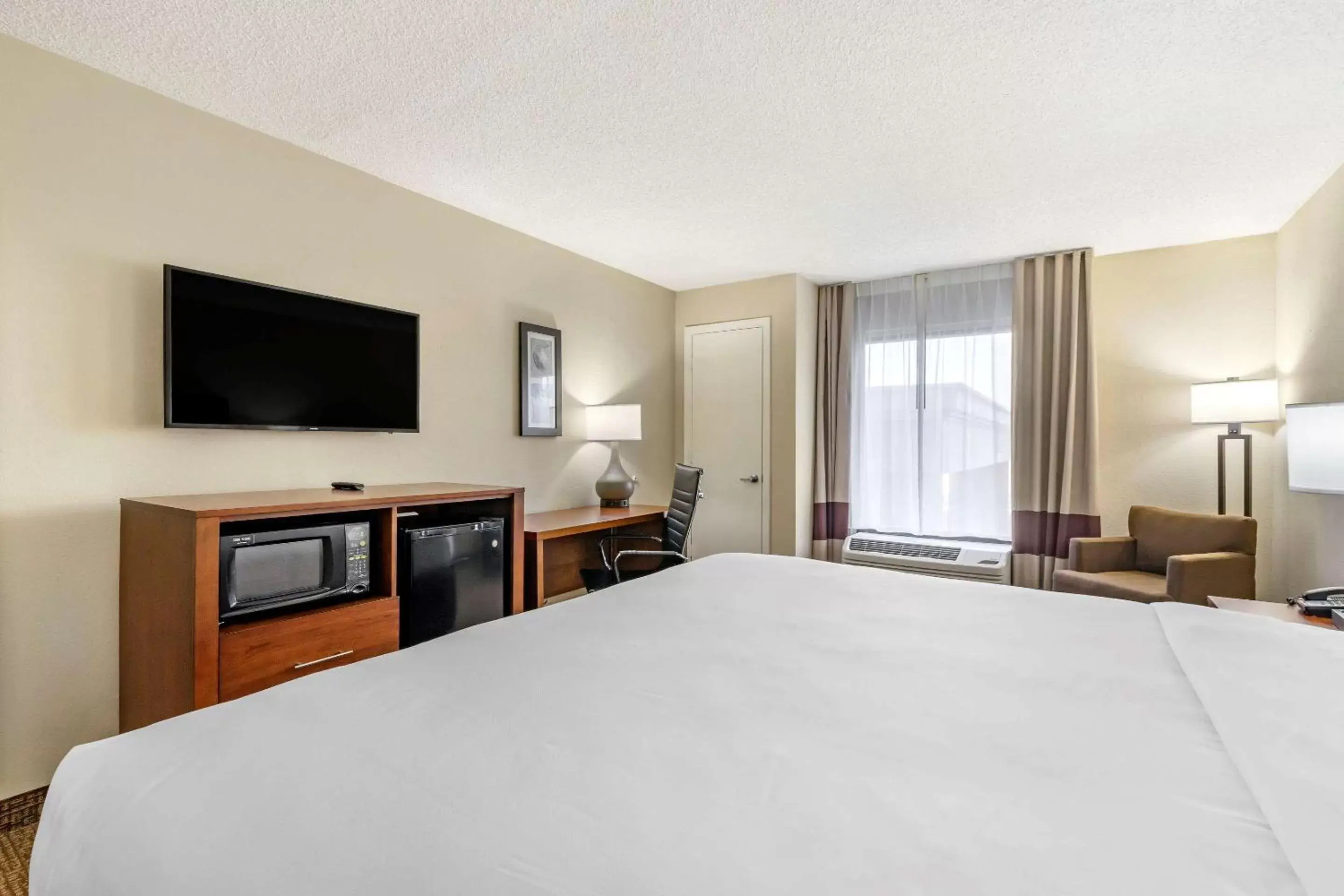 Photo of the whole room, Bed in Comfort Inn & Suites St Pete - Clearwater International Airport