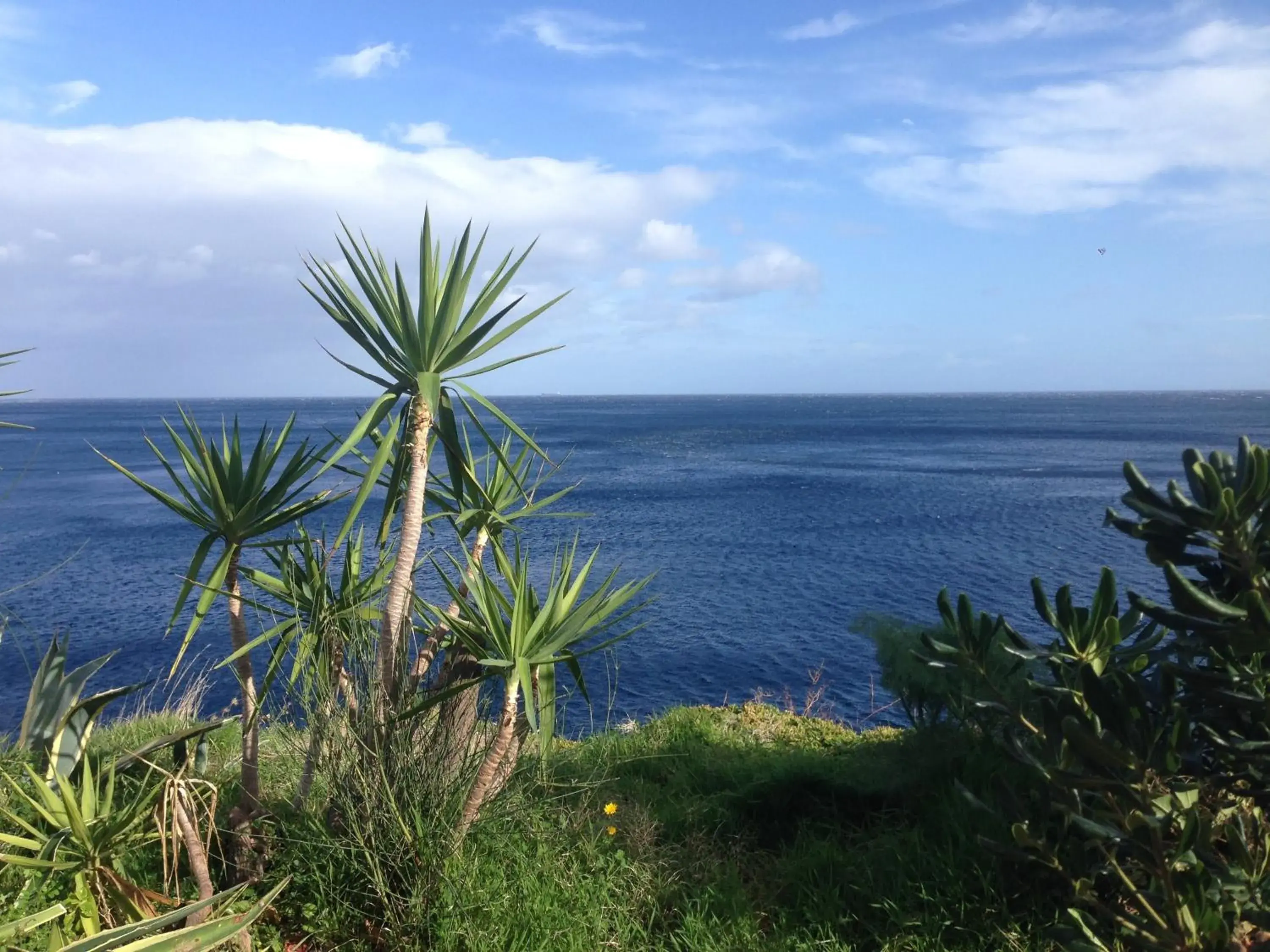 Facade/entrance, Sea View in Hotel Carasco