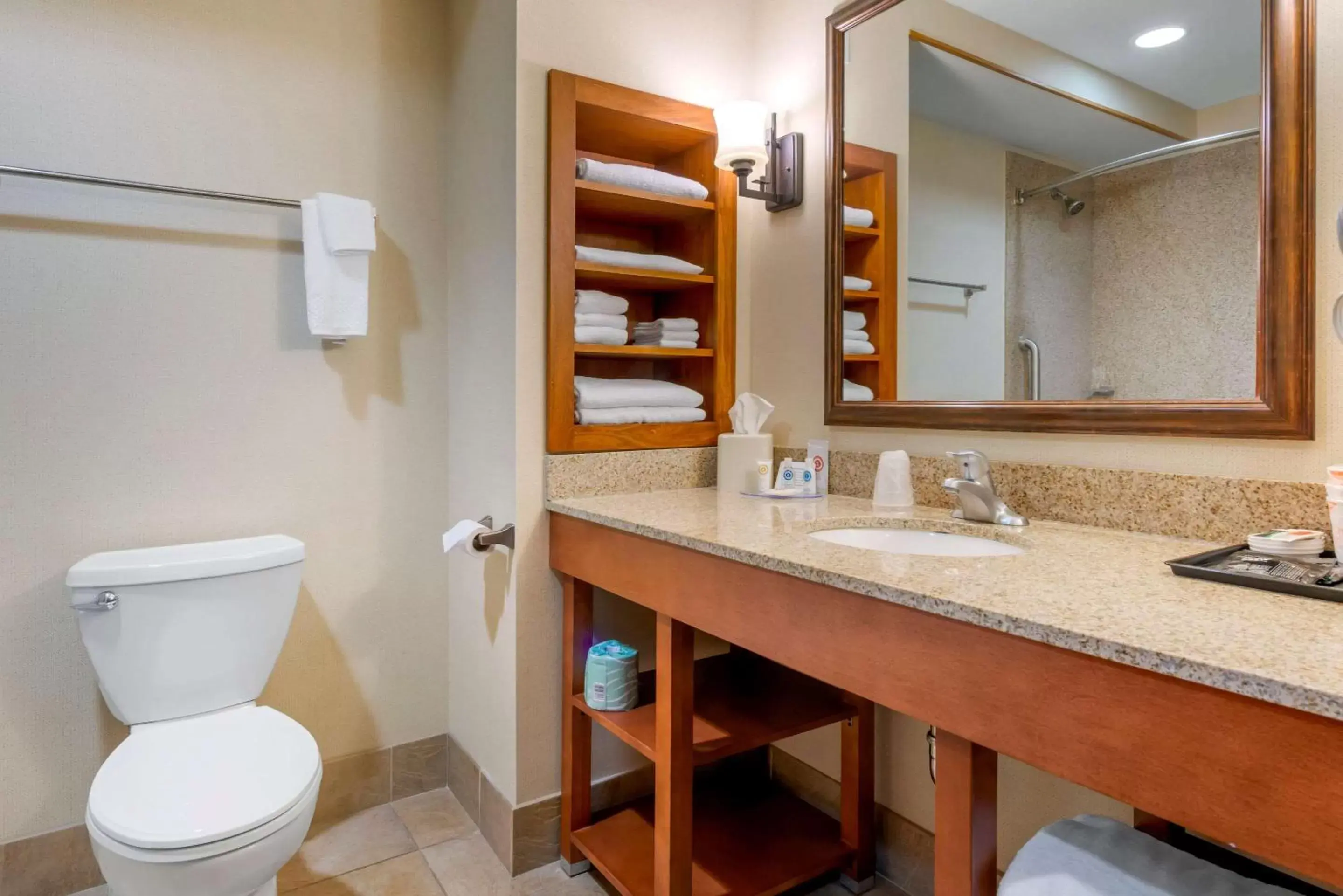 Bathroom in Comfort Inn & Suites Mountain Iron and Virginia