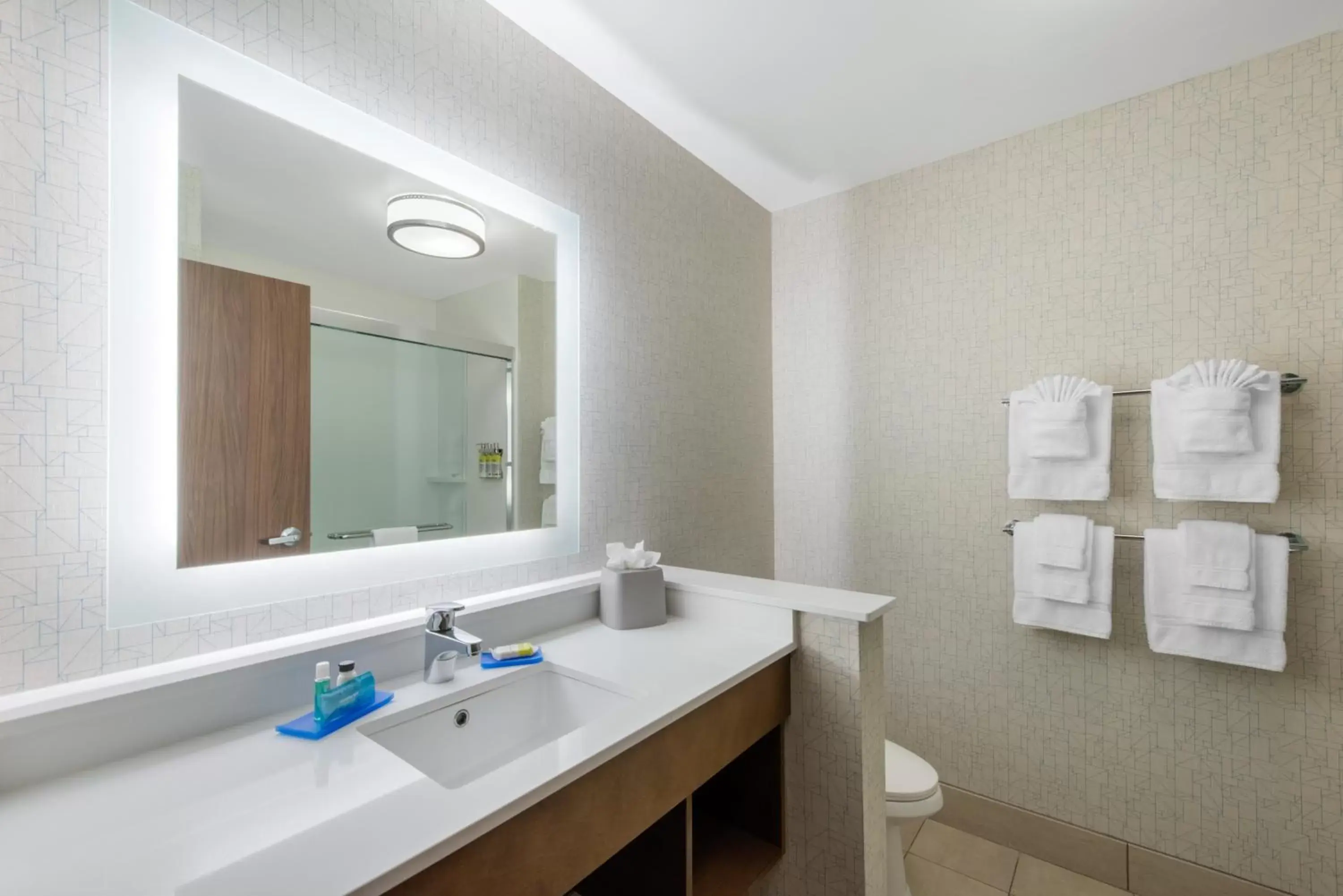 Bathroom in Holiday Inn Express & Suites - Wildwood - The Villages, an IHG Hotel