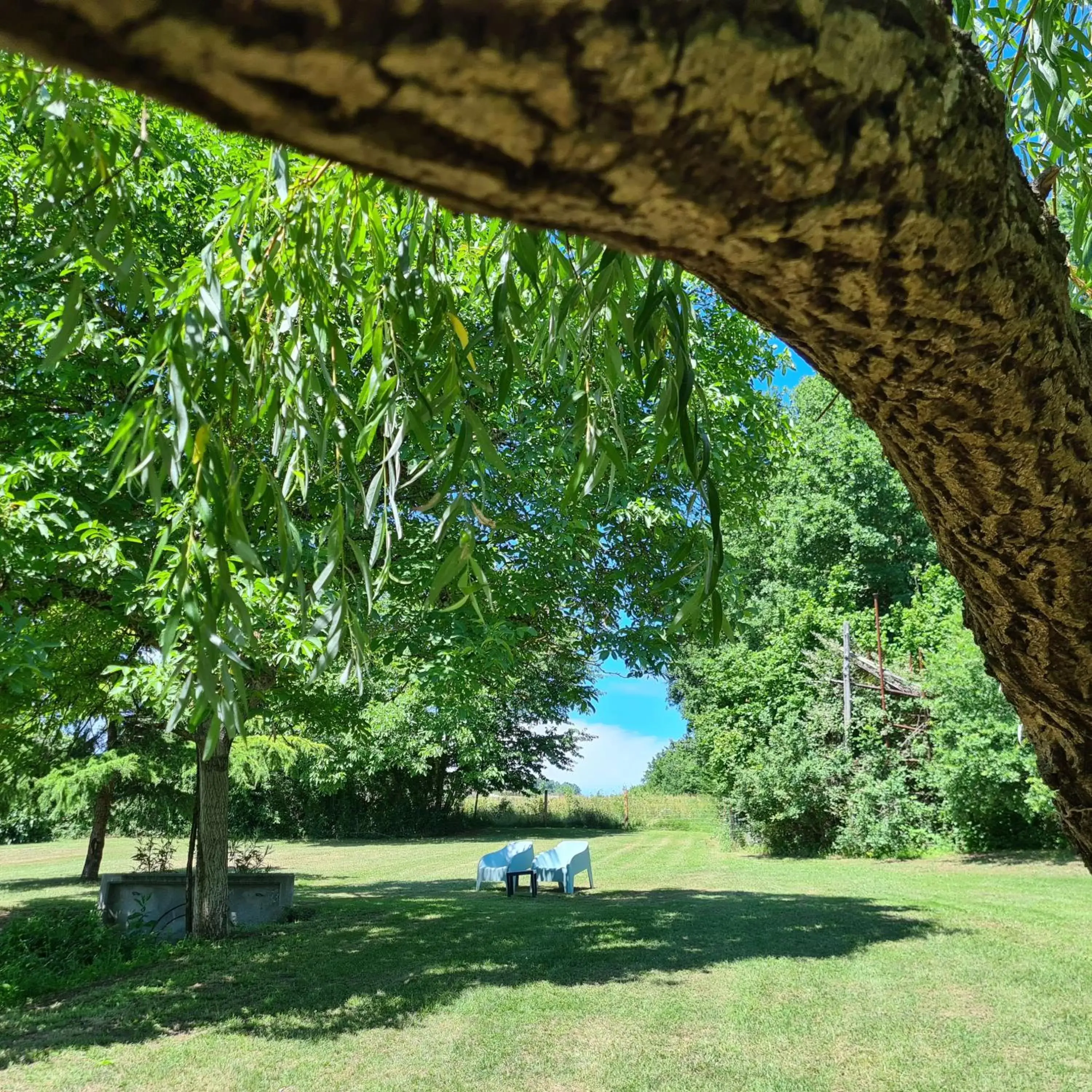 Natural landscape, Garden in Le Coq en Repos