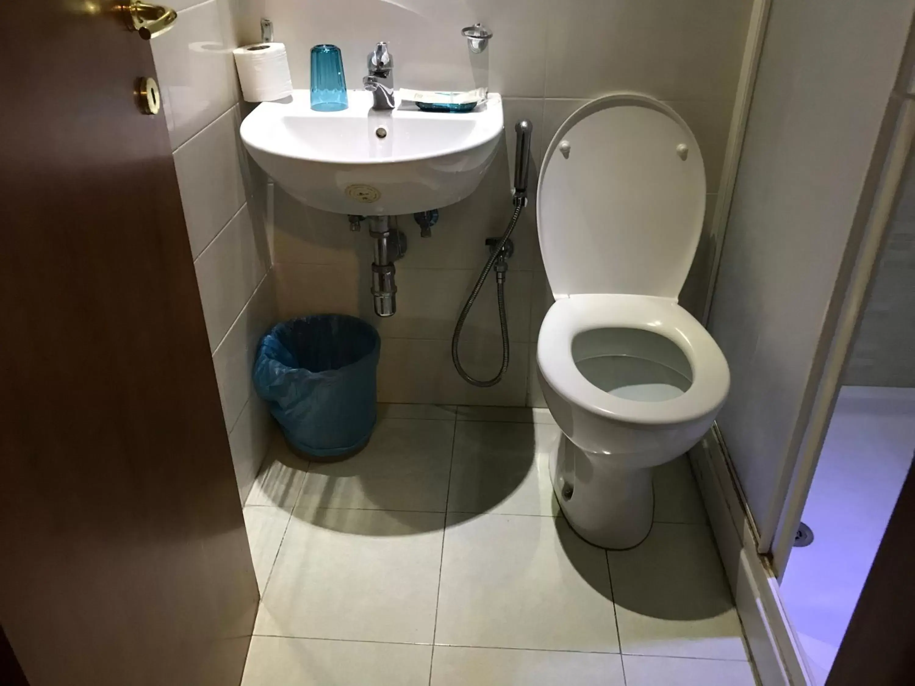 Bathroom in Hotel Tokyo