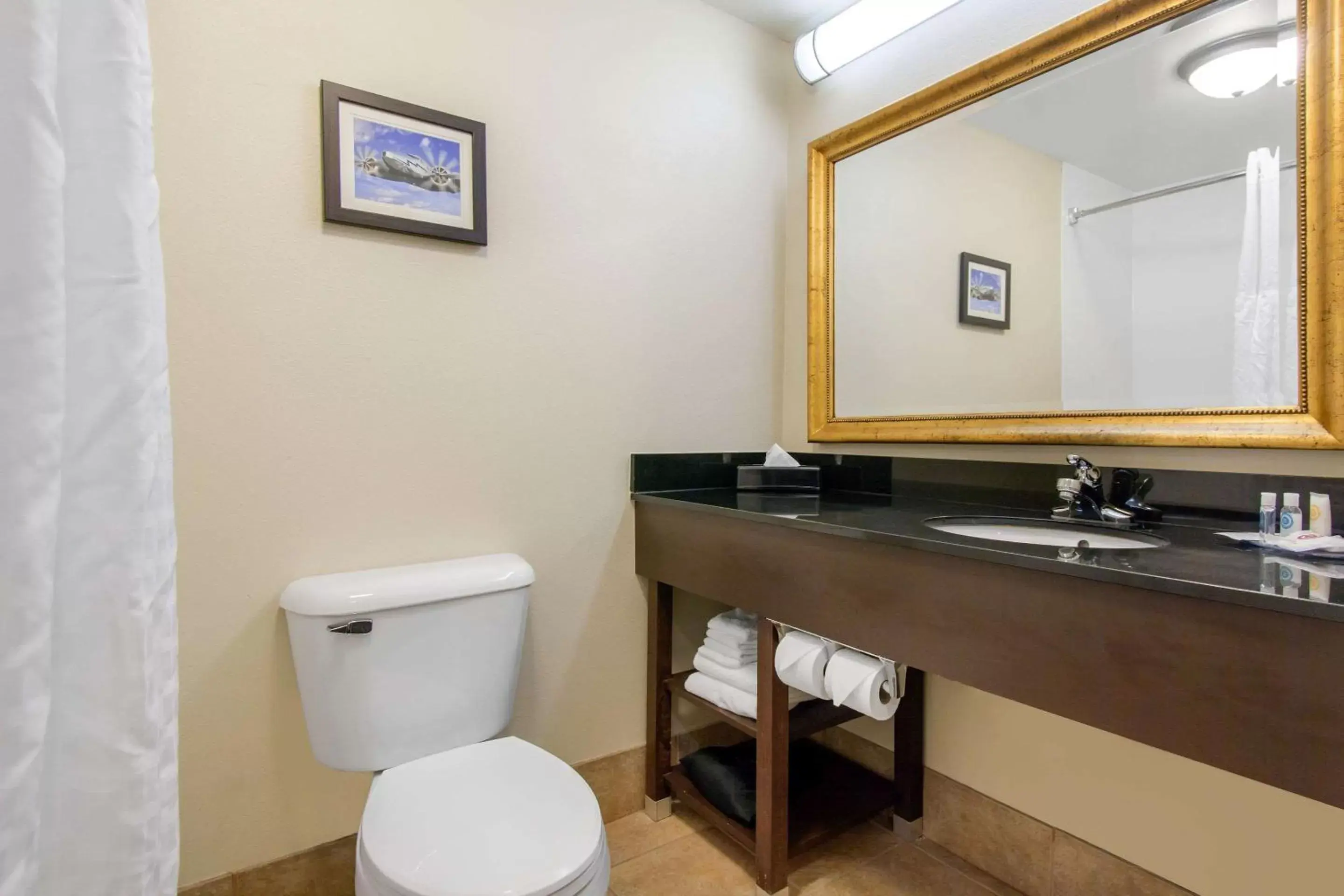 Bathroom in Comfort Inn & Suites Norman near University