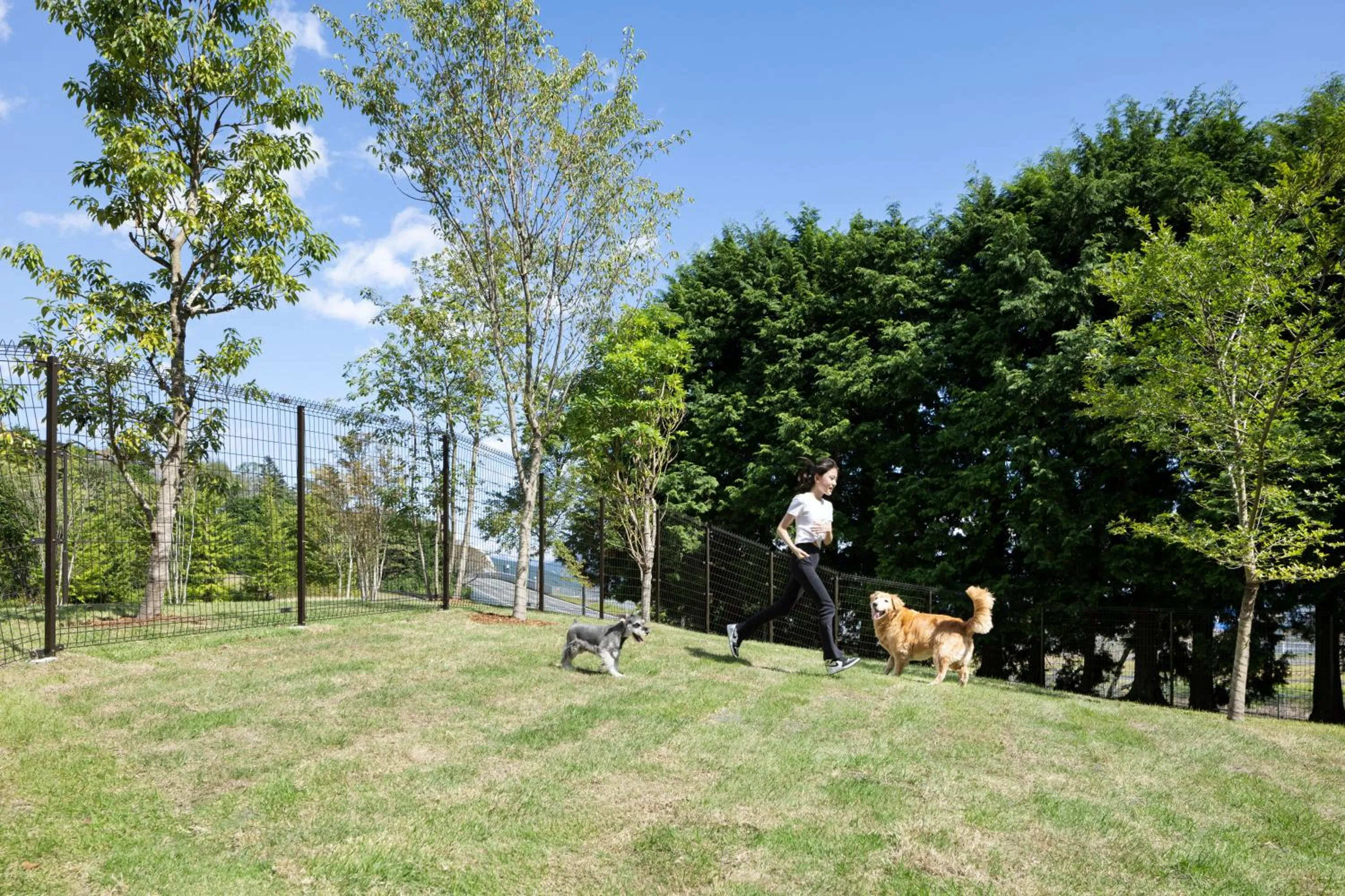 Animals in Fuji Speedway Hotel, in The Unbound Collection by Hyatt
