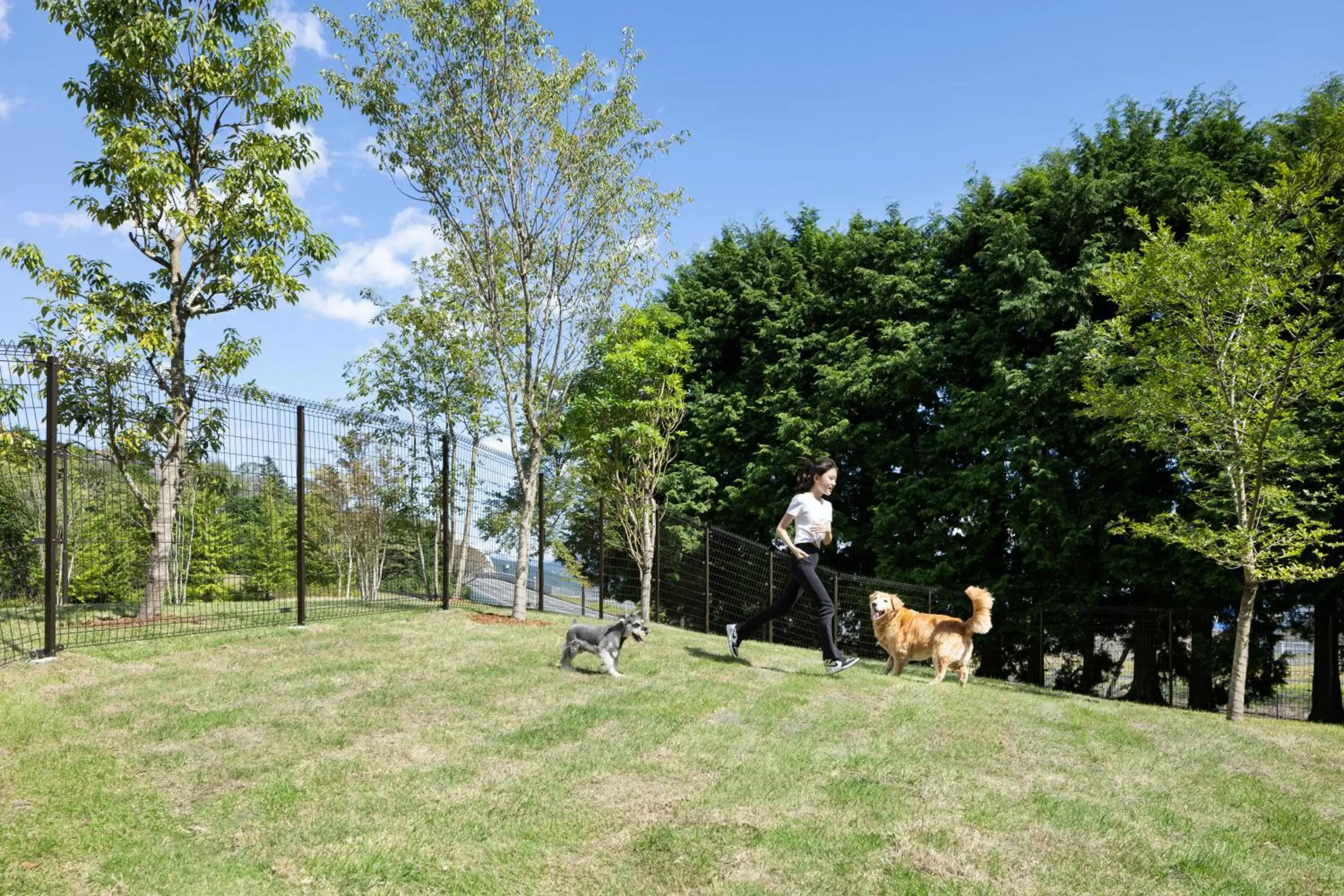 Animals, Garden in Fuji Speedway Hotel, Unbound Collection by Hyatt