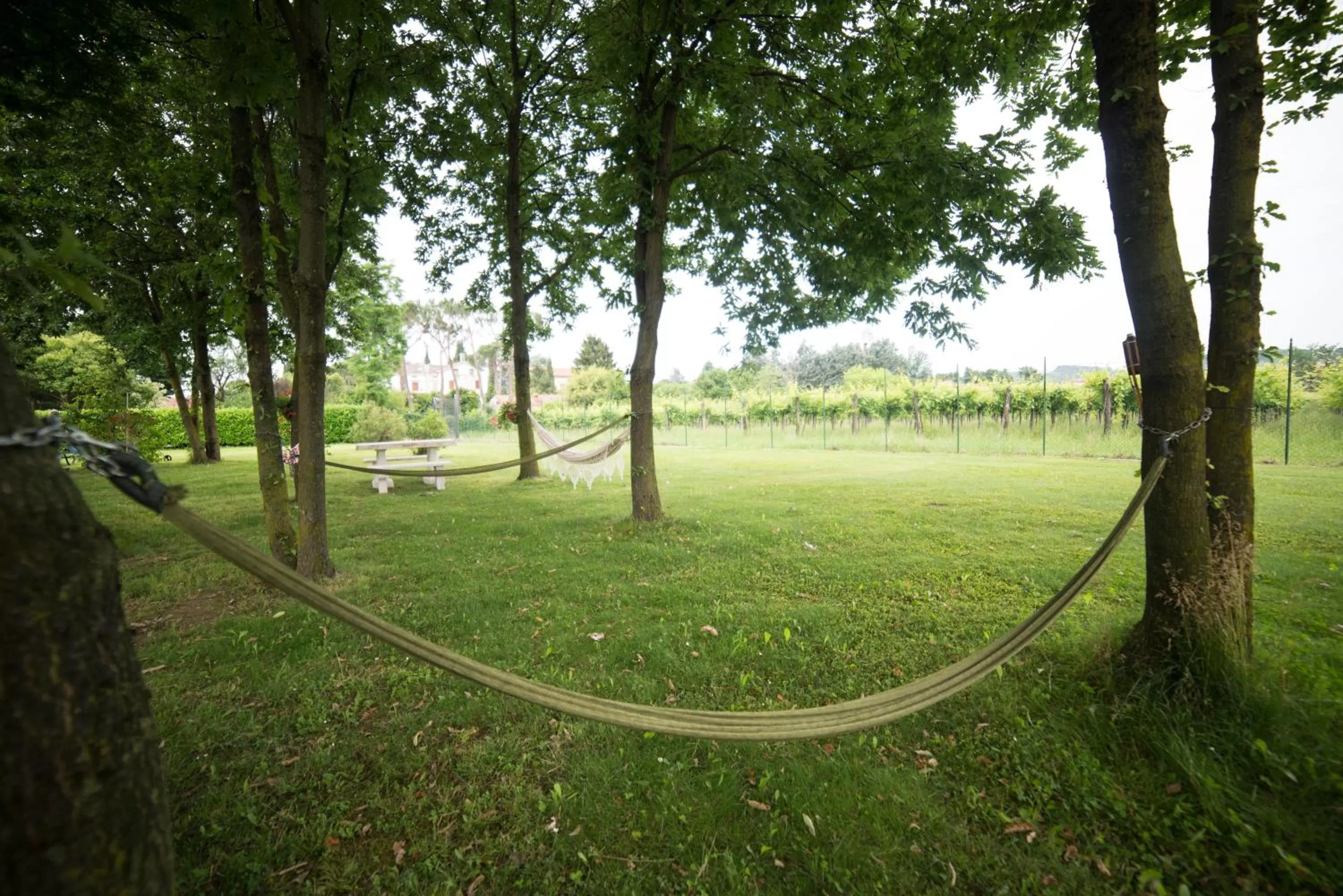 Garden in Villa Franca in Franciacorta