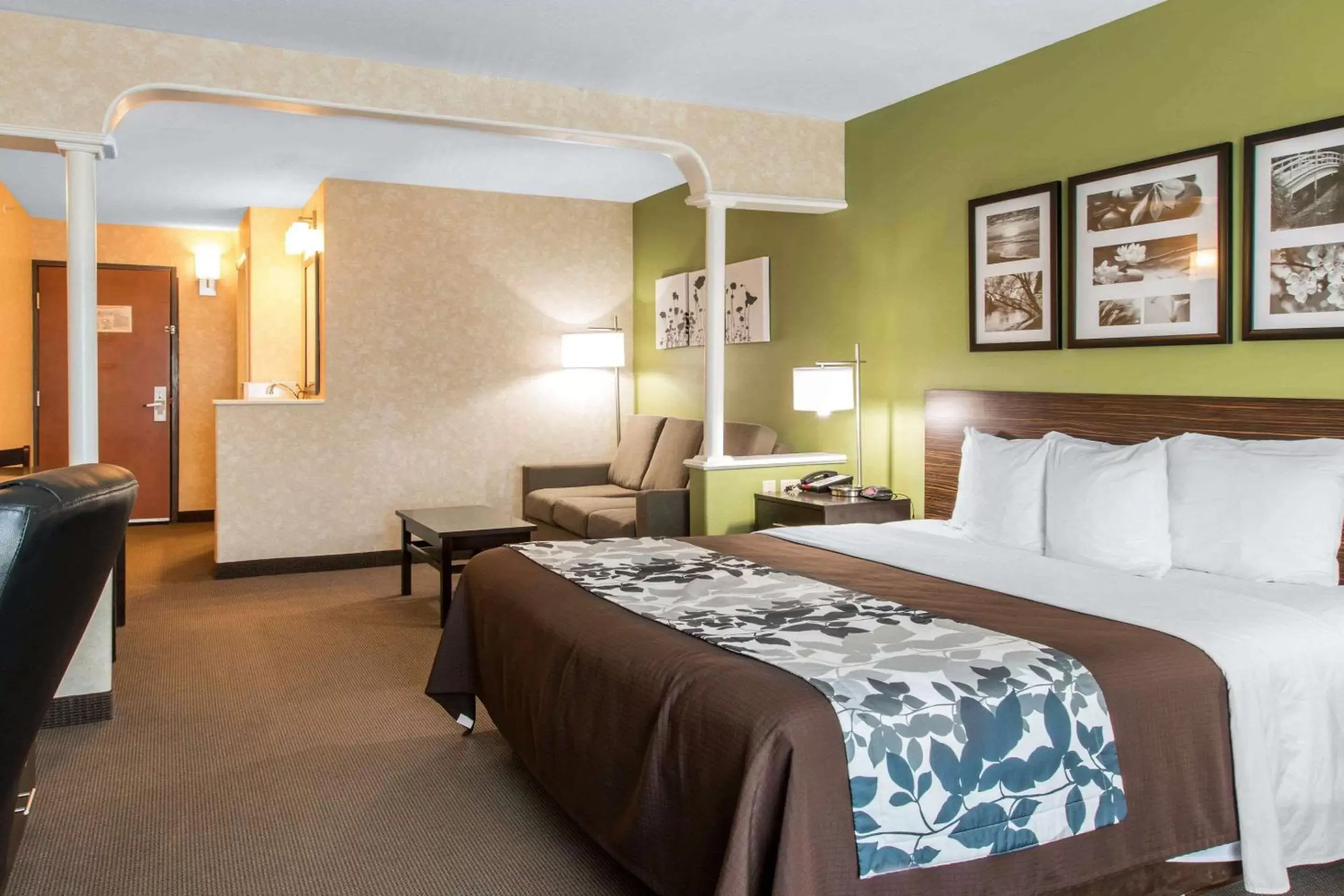 King Suite in Sleep Inn & Suites Oregon