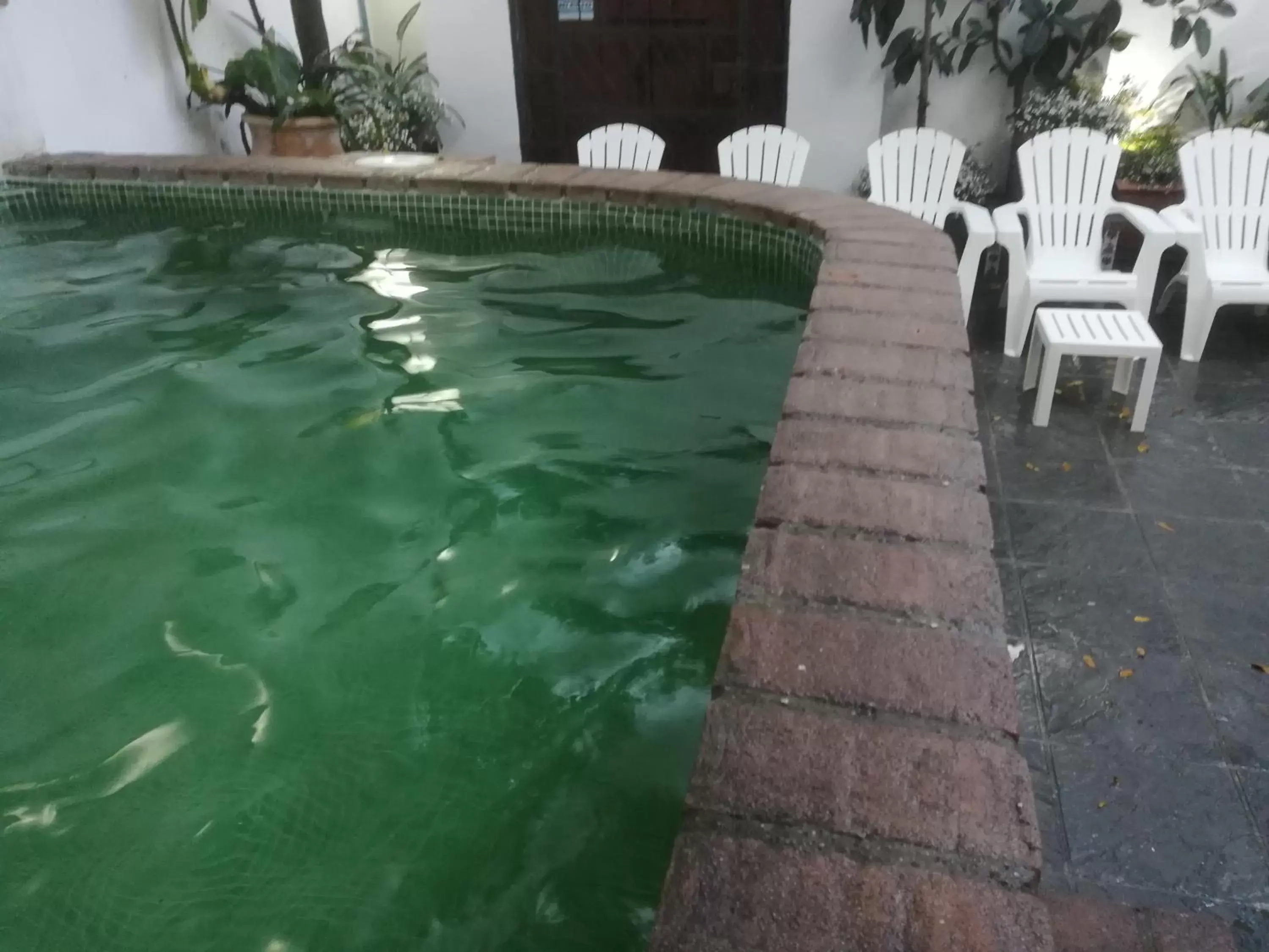 Swimming Pool in Hotel Casa de los Azulejos