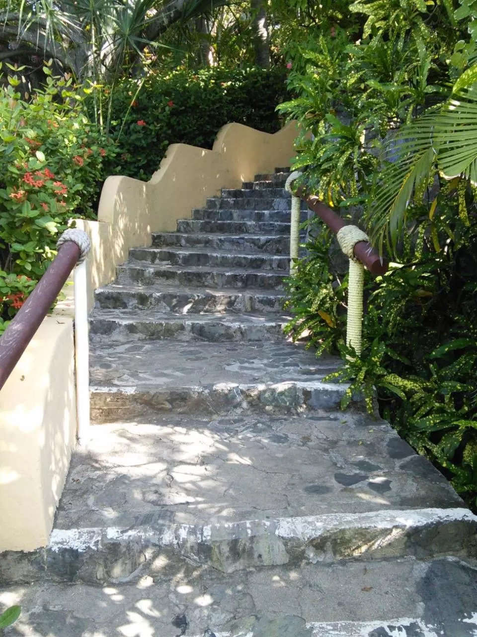 Property building in Hotel Catalina Beach Resort