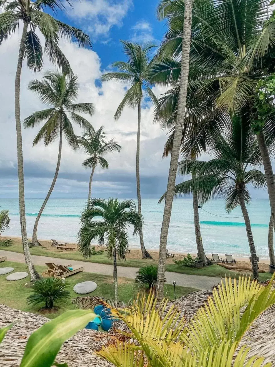 Beach in El Mosquito Boutique Hotel Playa Bonita