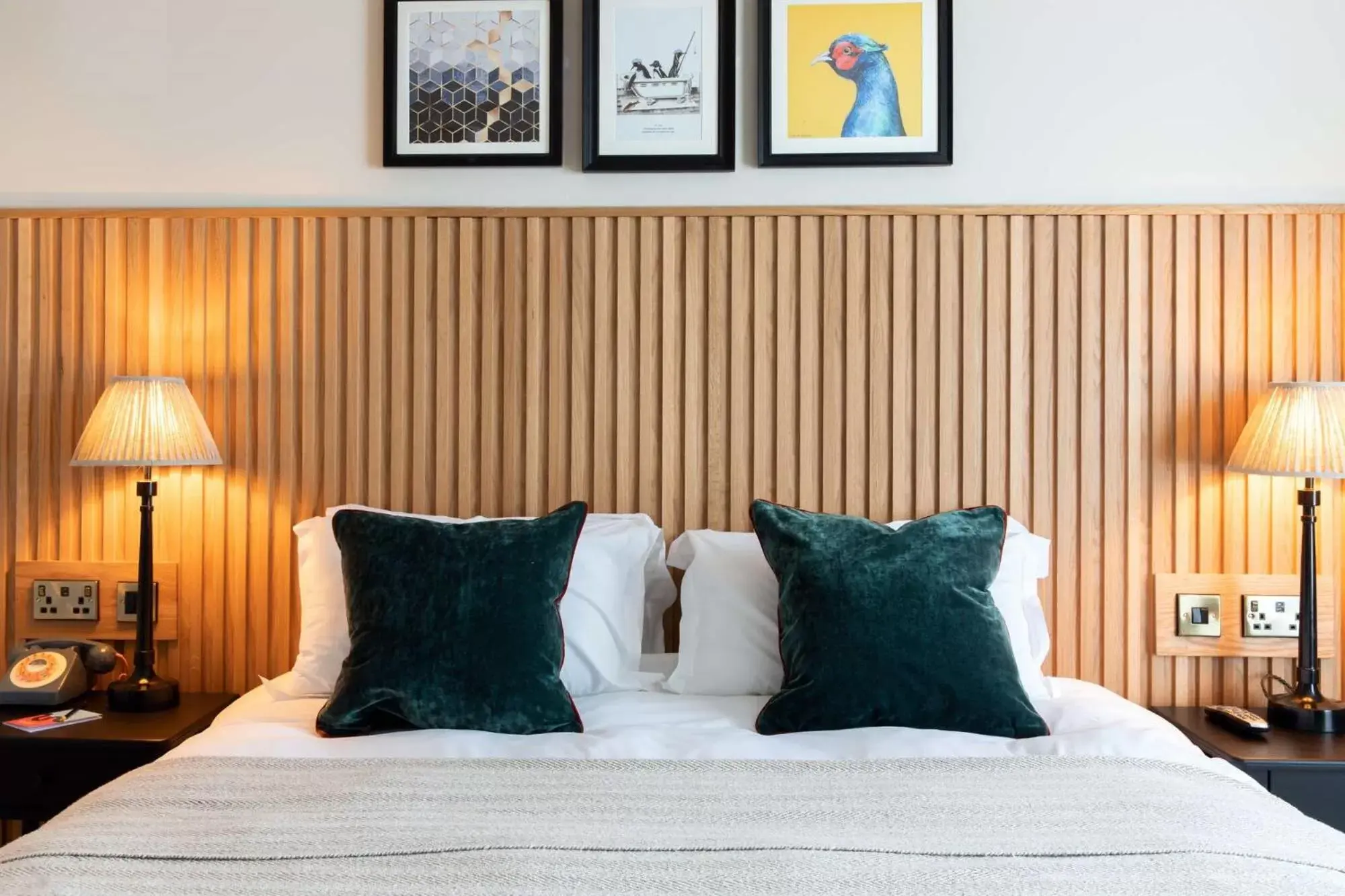 Standard Double Room - single occupancy in The Park Hotel Standard Double Room - single occupancy in The Park Hotel