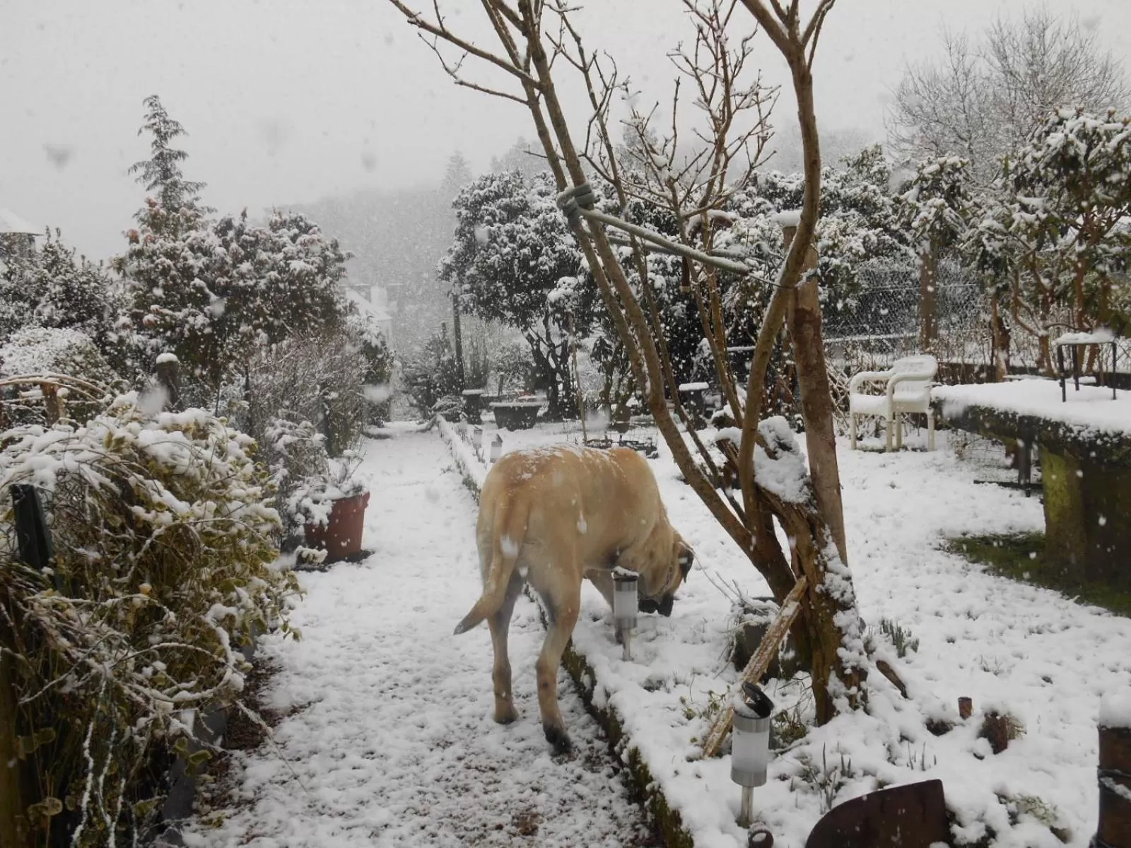 Garden in La Mare aux Fées