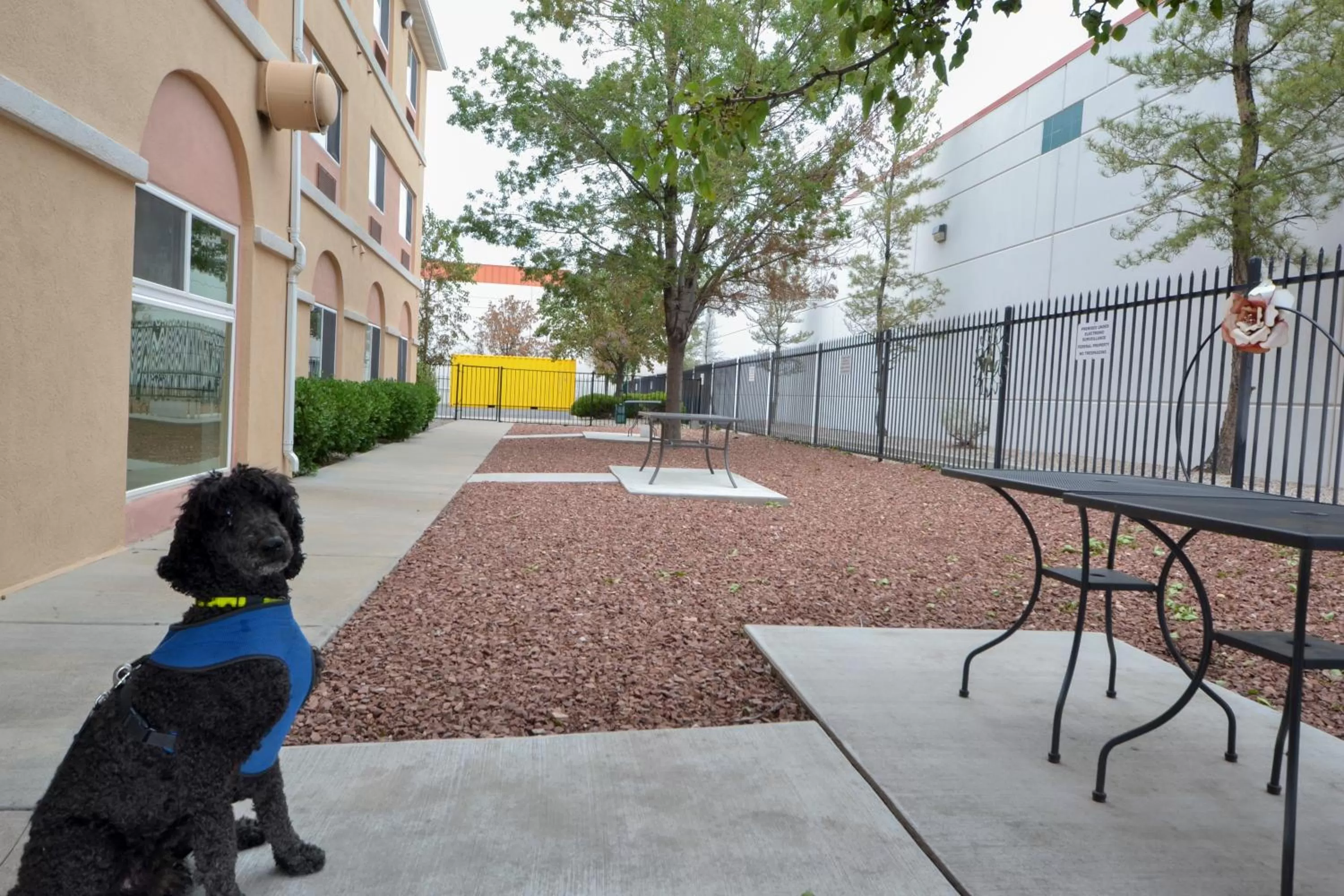 Activities in Days Inn & Suites by Wyndham Airport Albuquerque