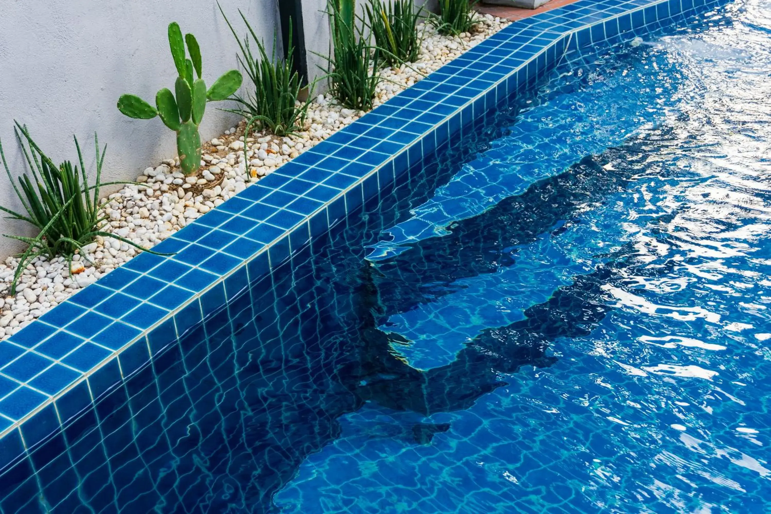 Swimming Pool in Wealth Boutique Hotel Chiang Mai