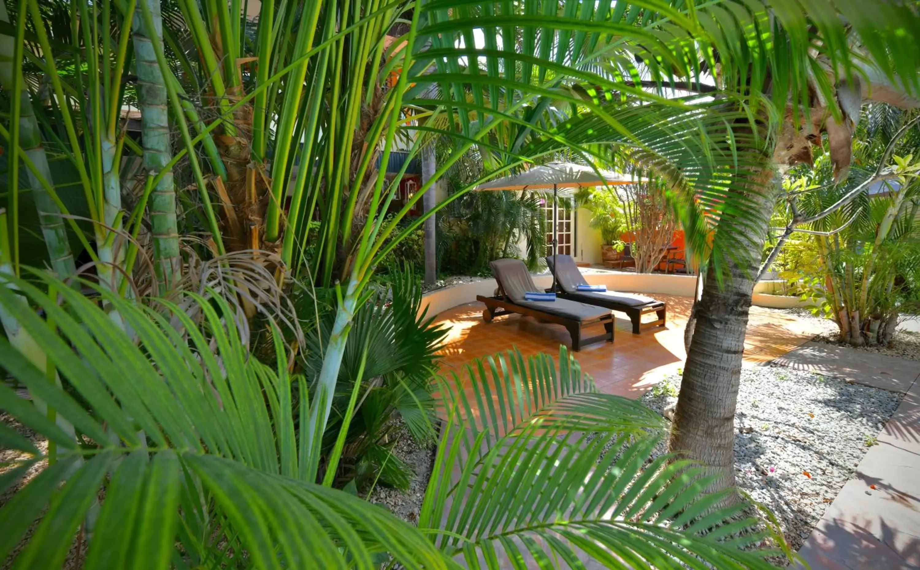 Garden in Wonders Boutique Hotel