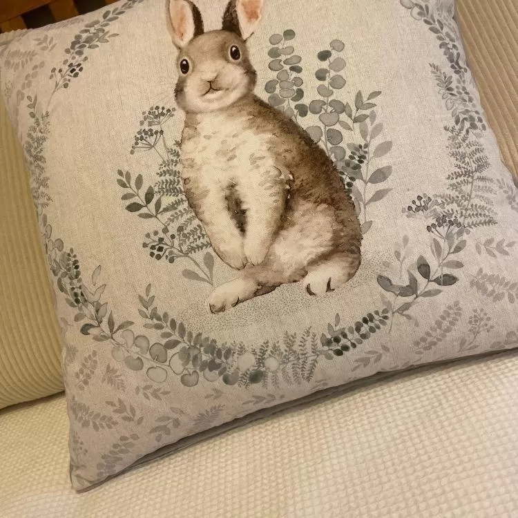 Pets in The Cottage Inn