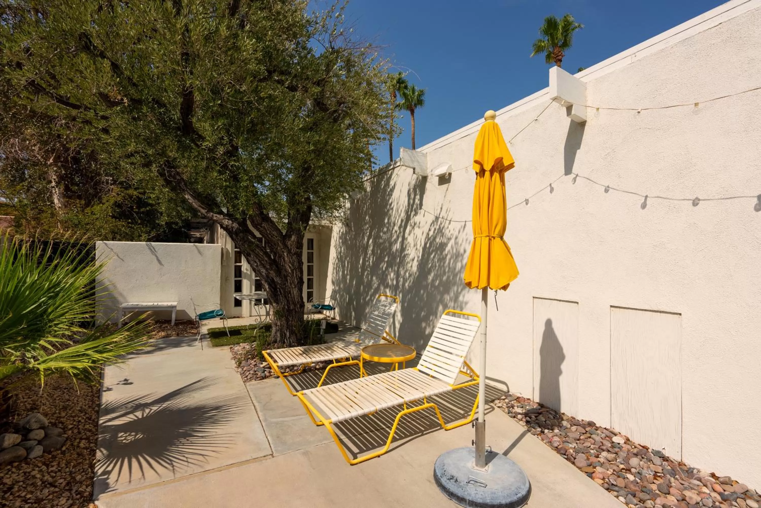 The Monkey Tree Hotel by AvantStay