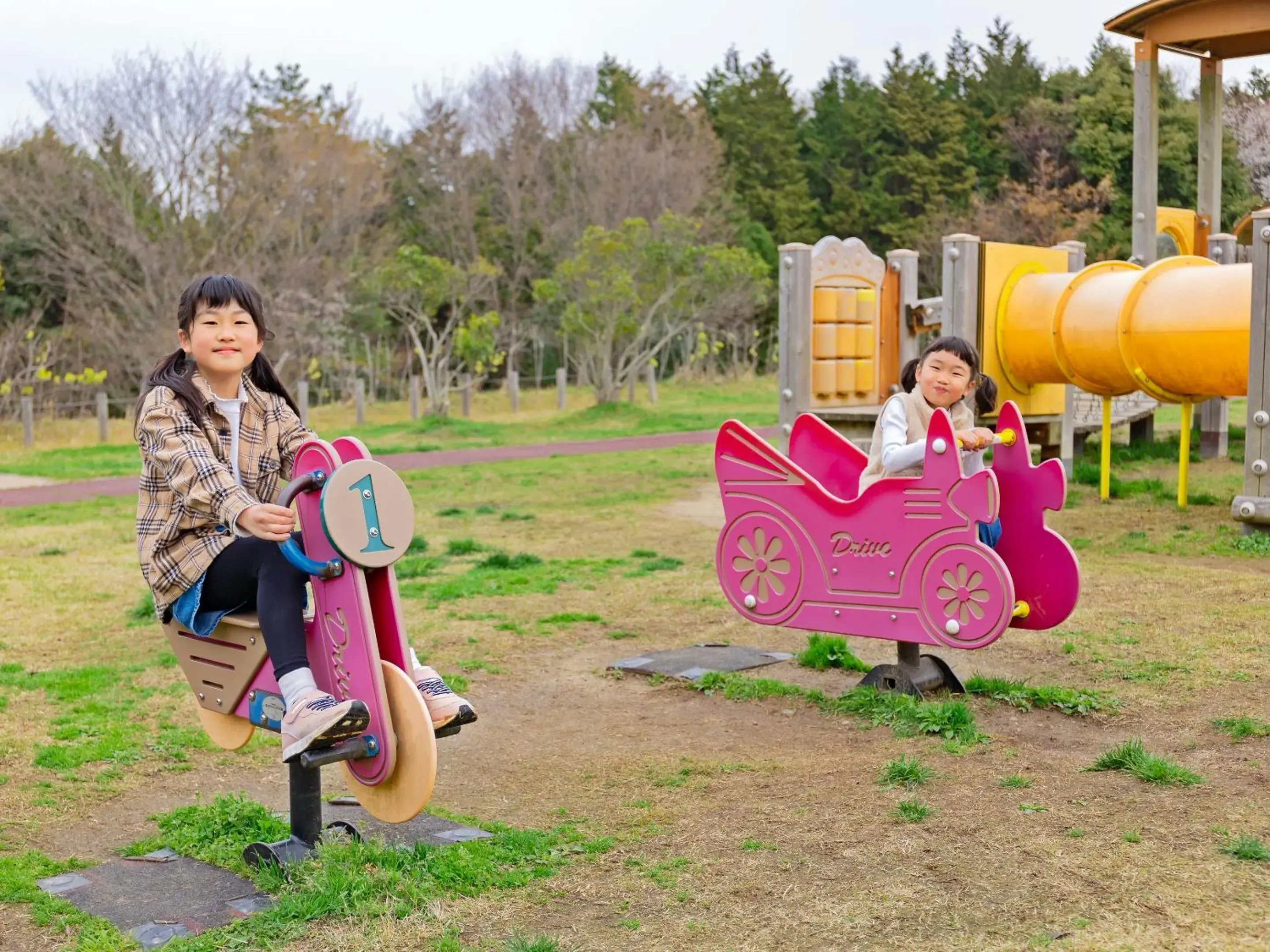 Children play ground, Family in Matsue Forest Park