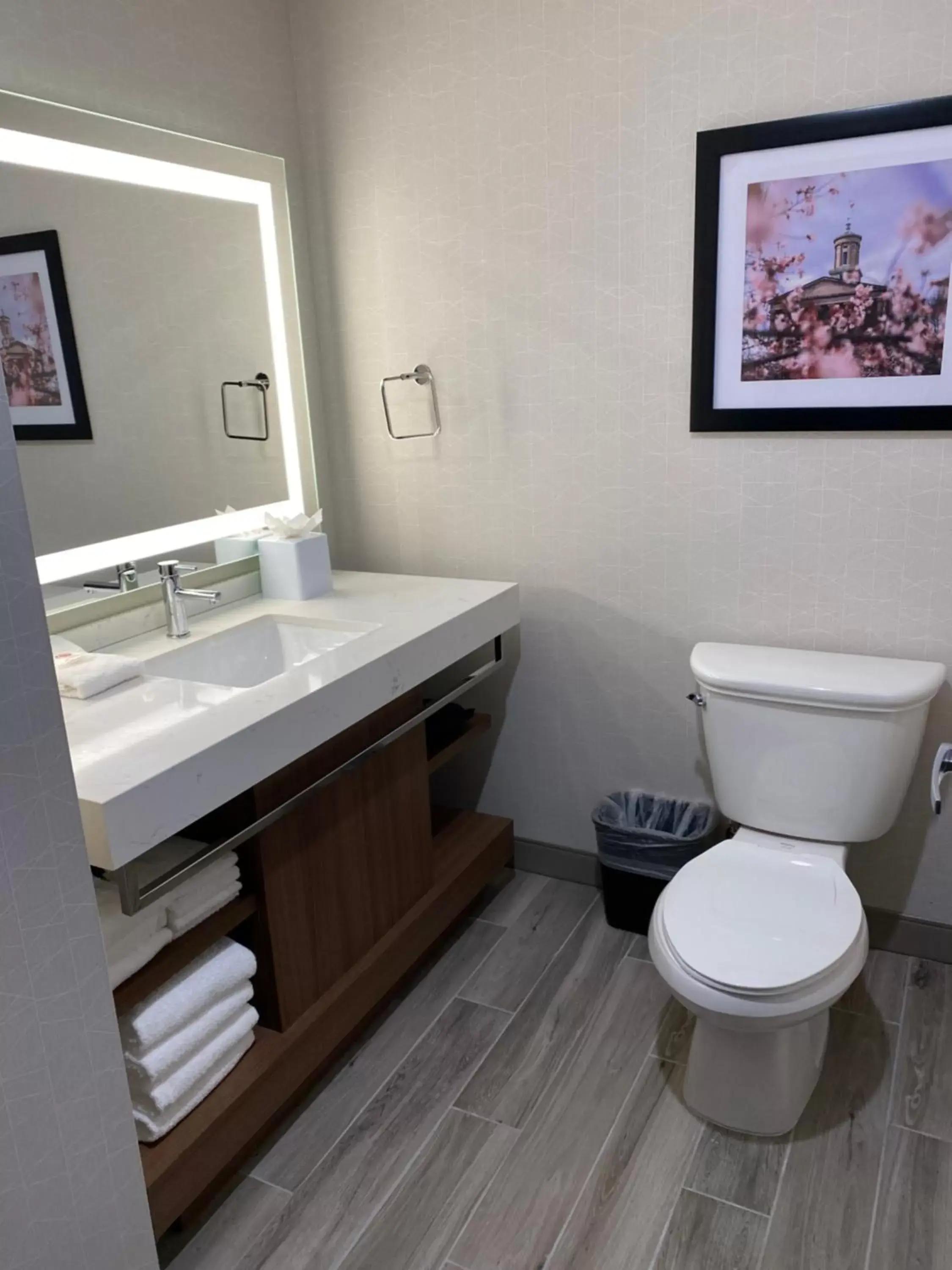 Bathroom in Comfort Inn & Suites Gallatin - Nashville Metro